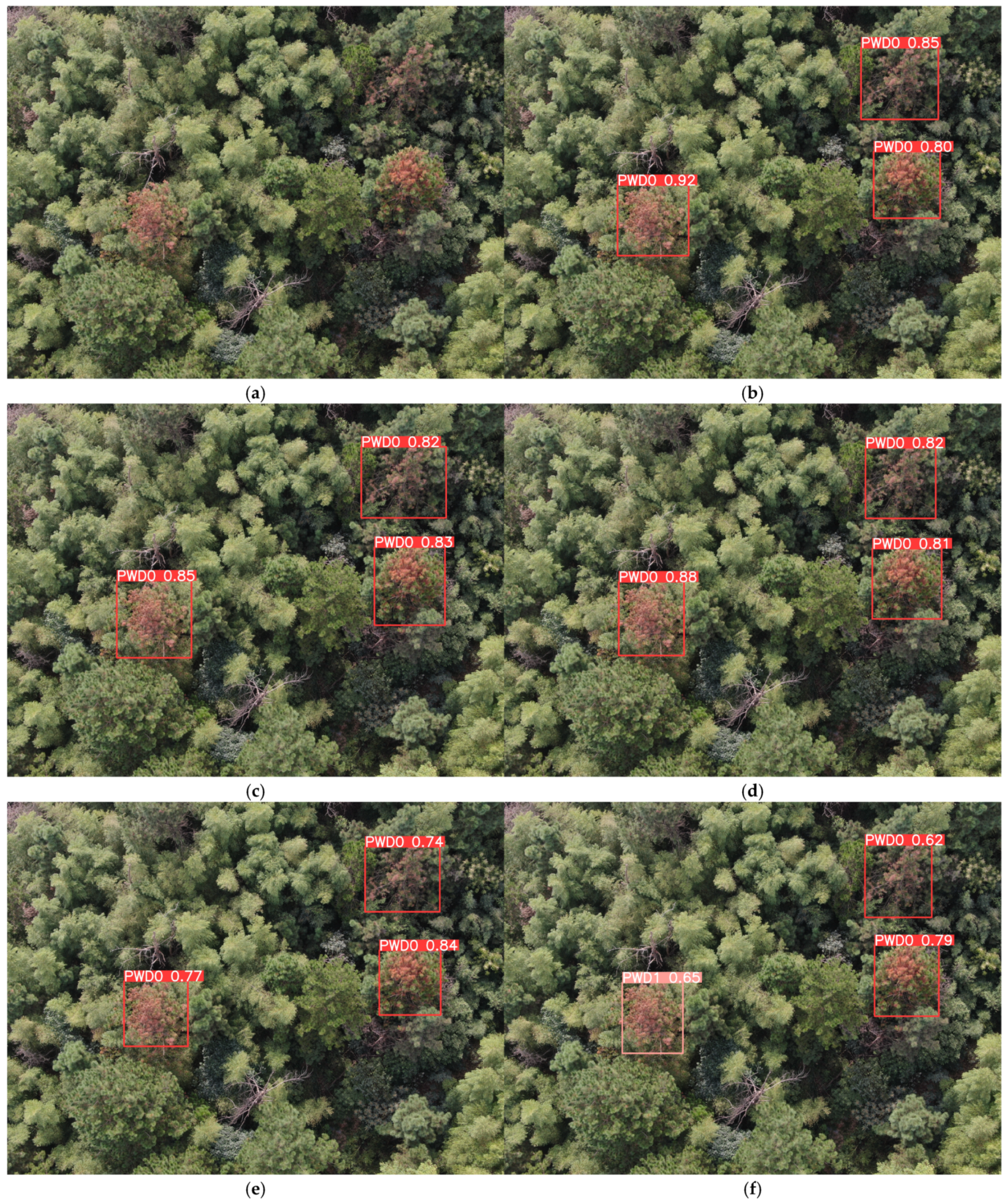 Remotesensing 17 00255 g015a