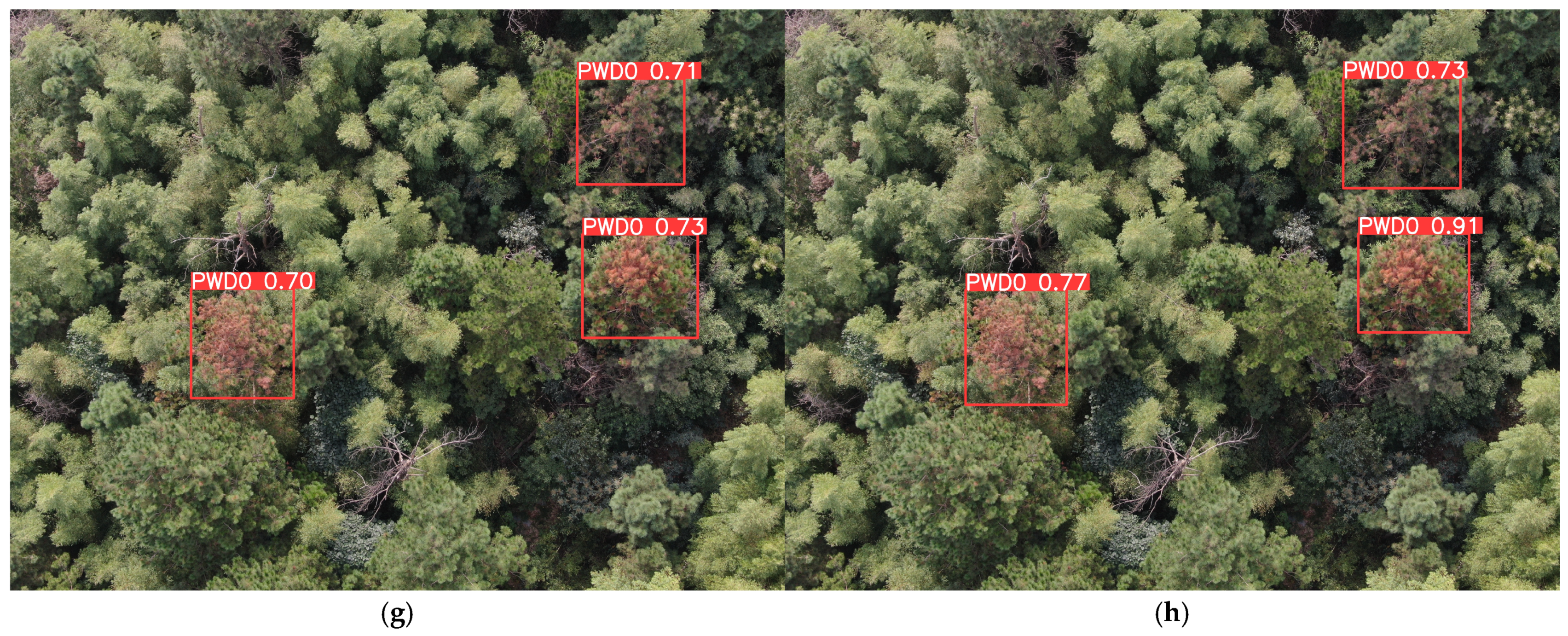 Remotesensing 17 00255 g015b