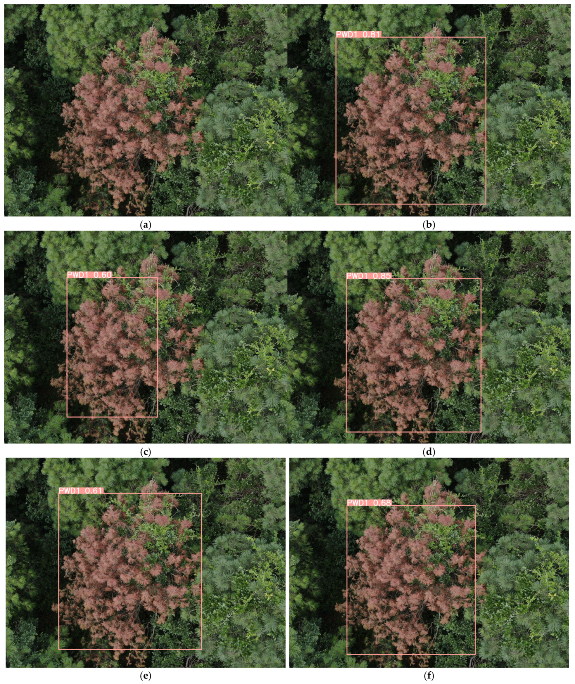 Remotesensing 17 00255 g016a