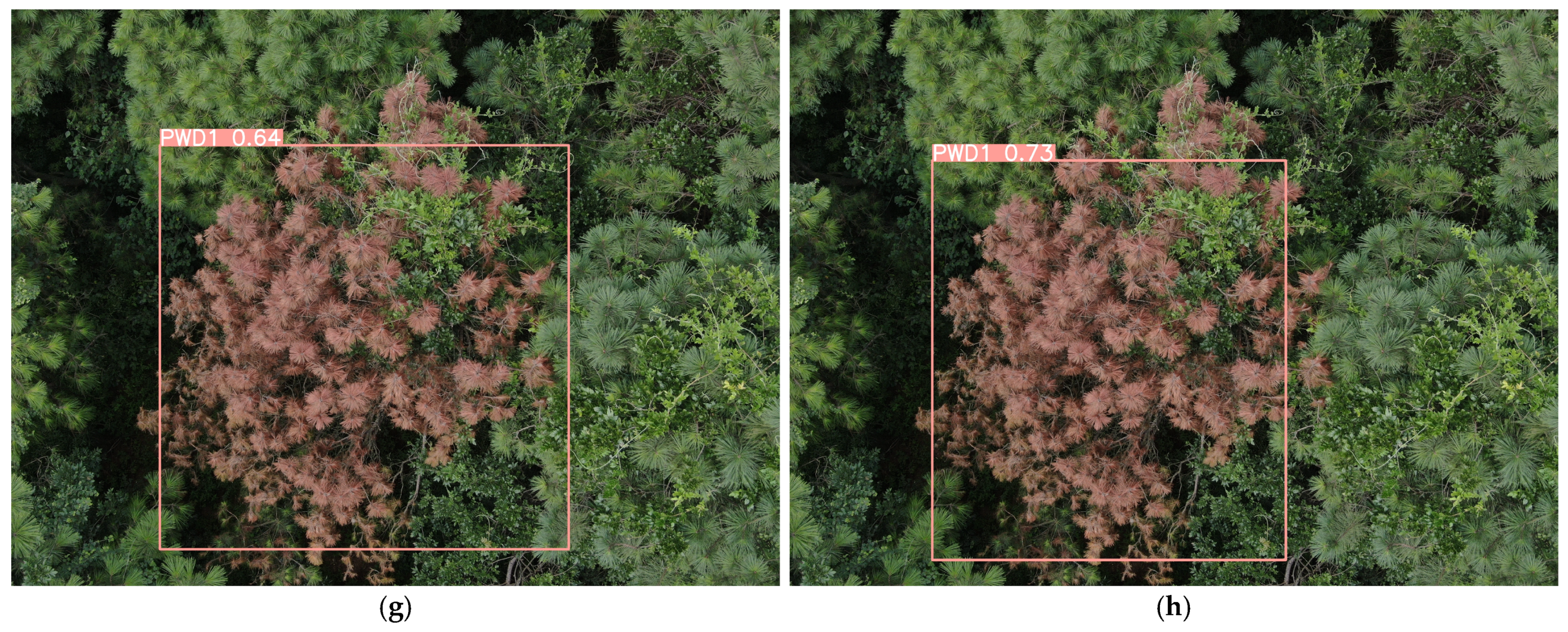 Remotesensing 17 00255 g016b