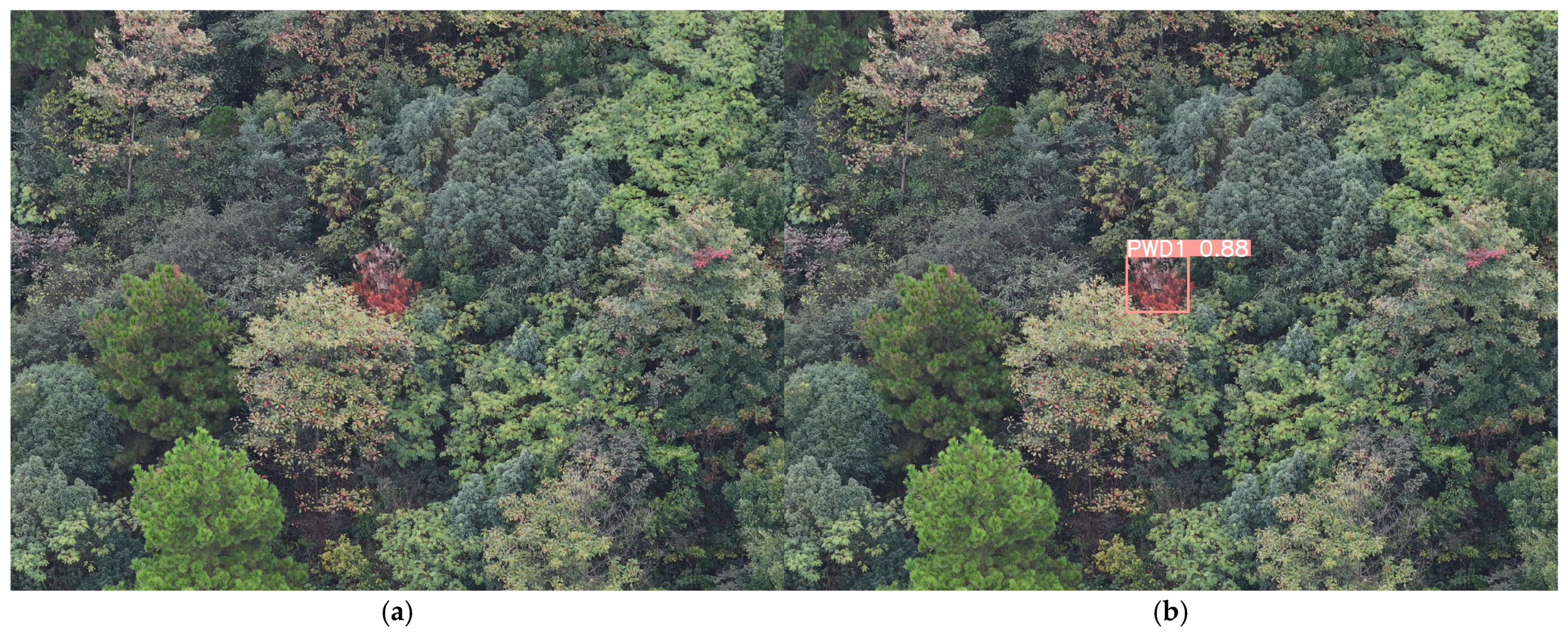 Remotesensing 17 00255 g017a