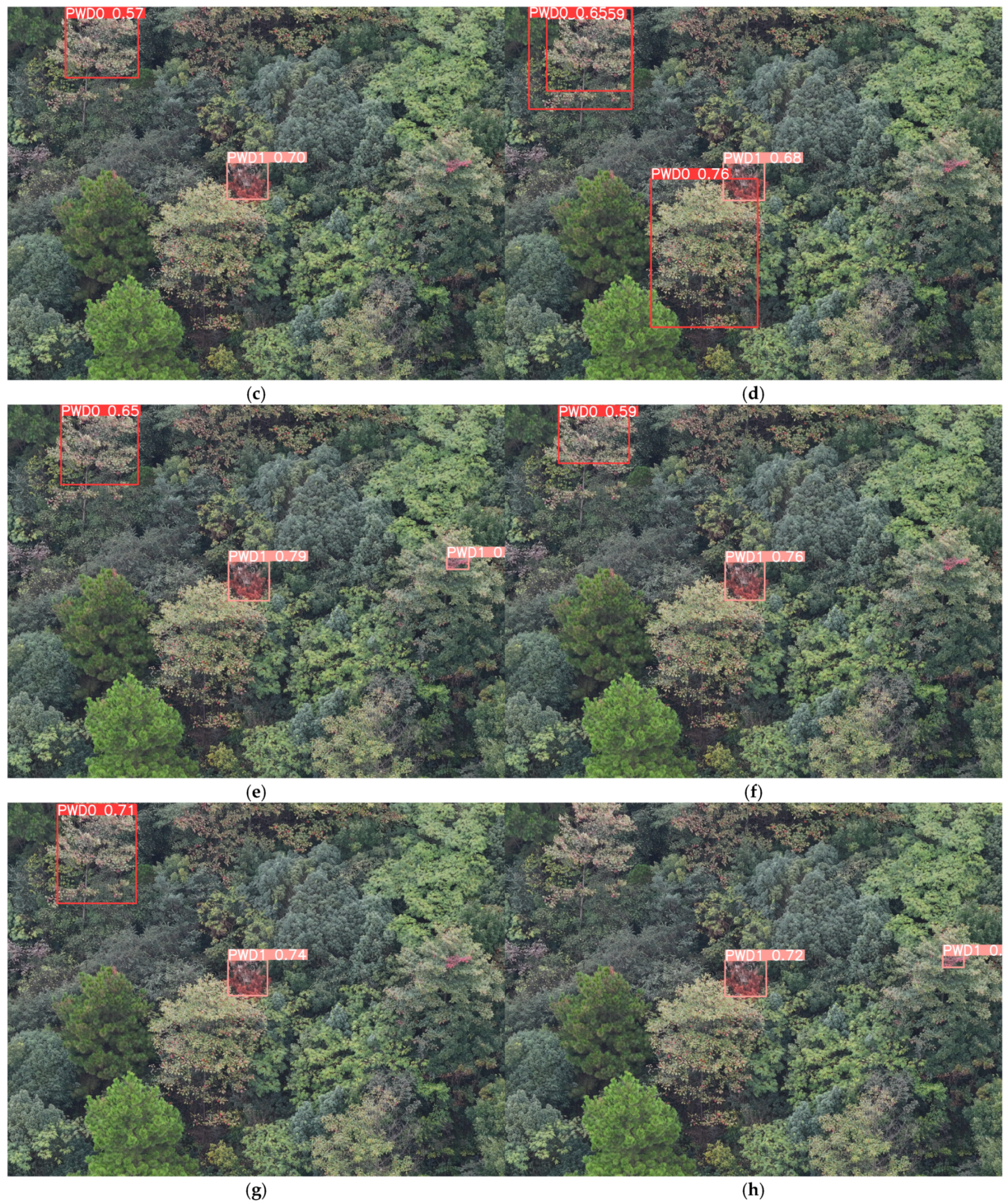 Remotesensing 17 00255 g017b