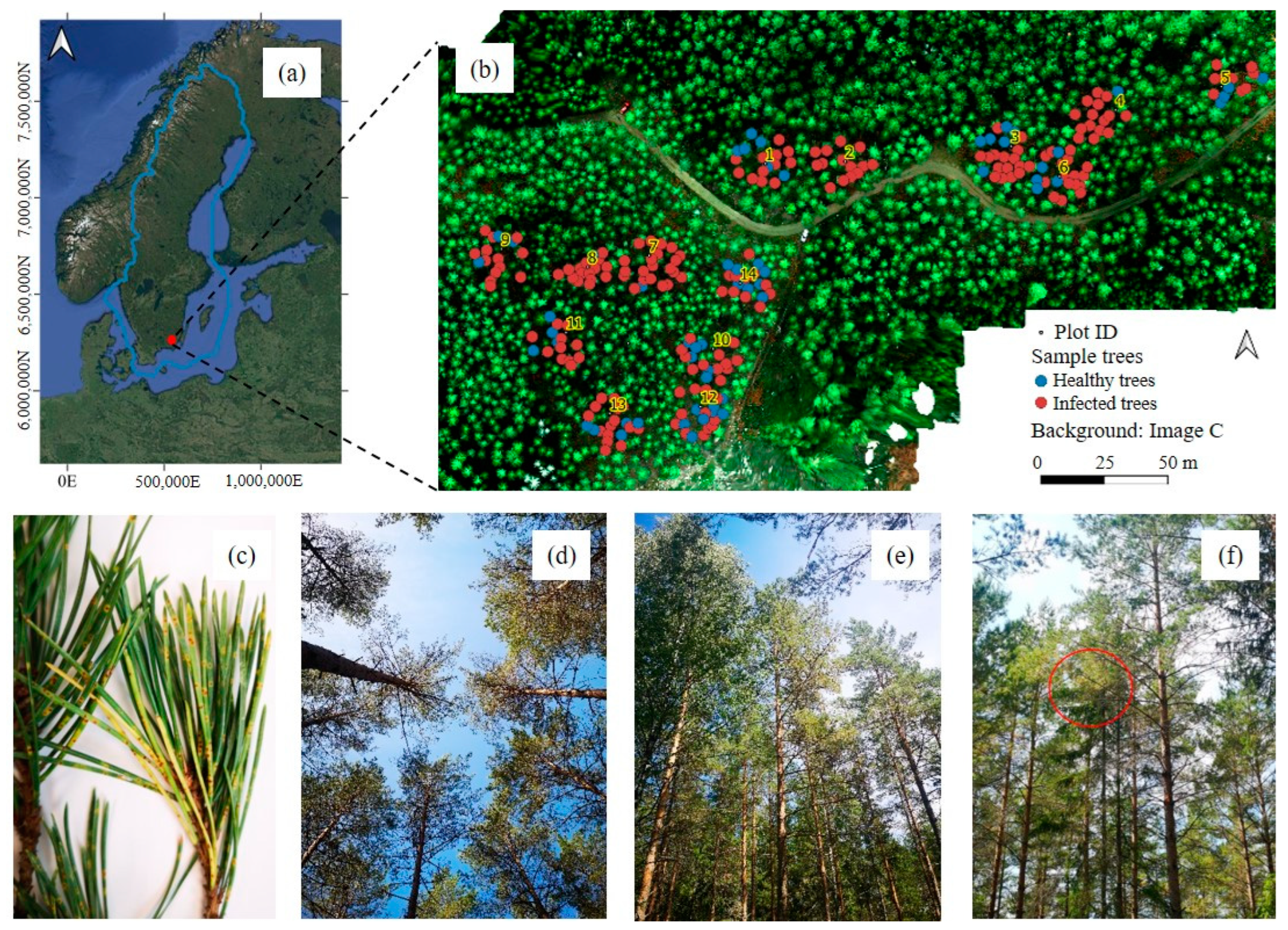 Remotesensing 17 00271 g001 Remotesensing 17 00271 g001