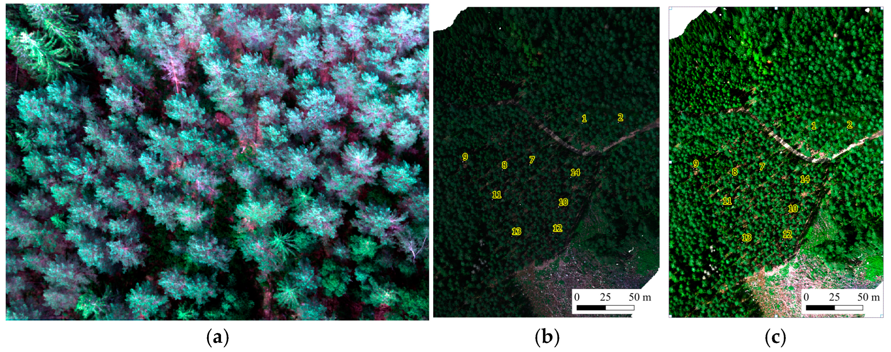 Remotesensing 17 00271 g004 Remotesensing 17 00271 g004
