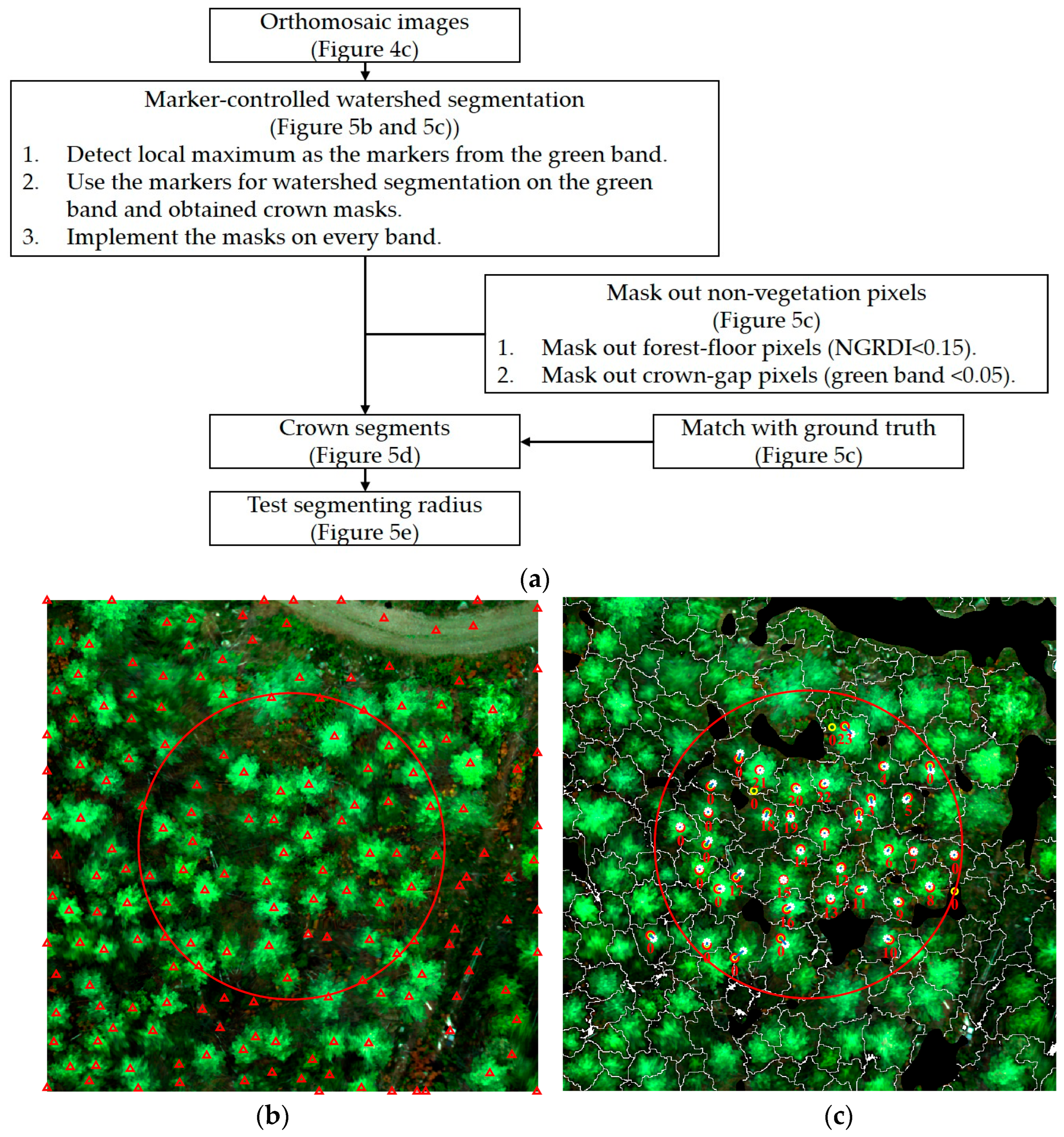 Remotesensing 17 00271 g005a Remotesensing 17 00271 g005a