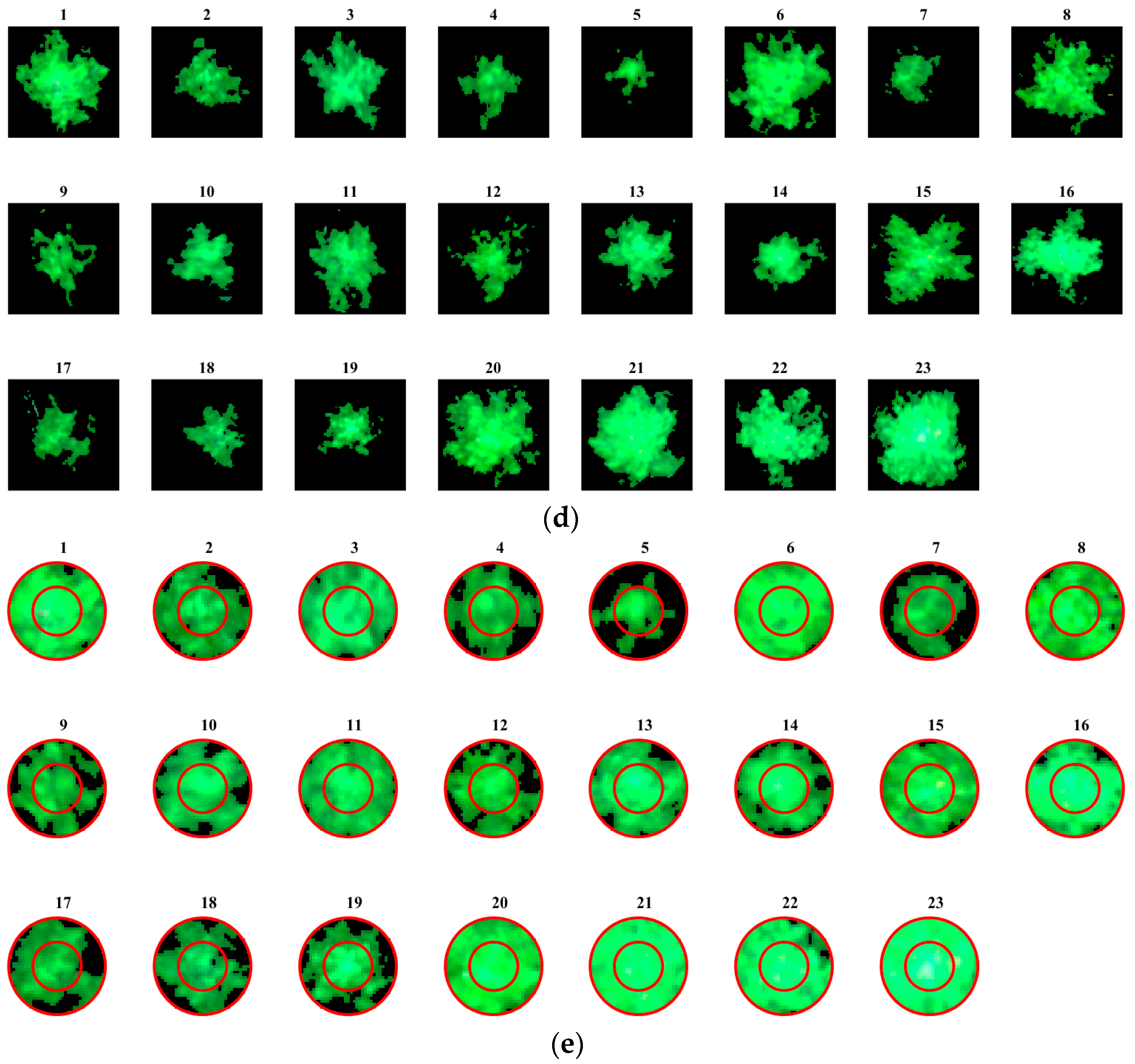 Remotesensing 17 00271 g005b Remotesensing 17 00271 g005b