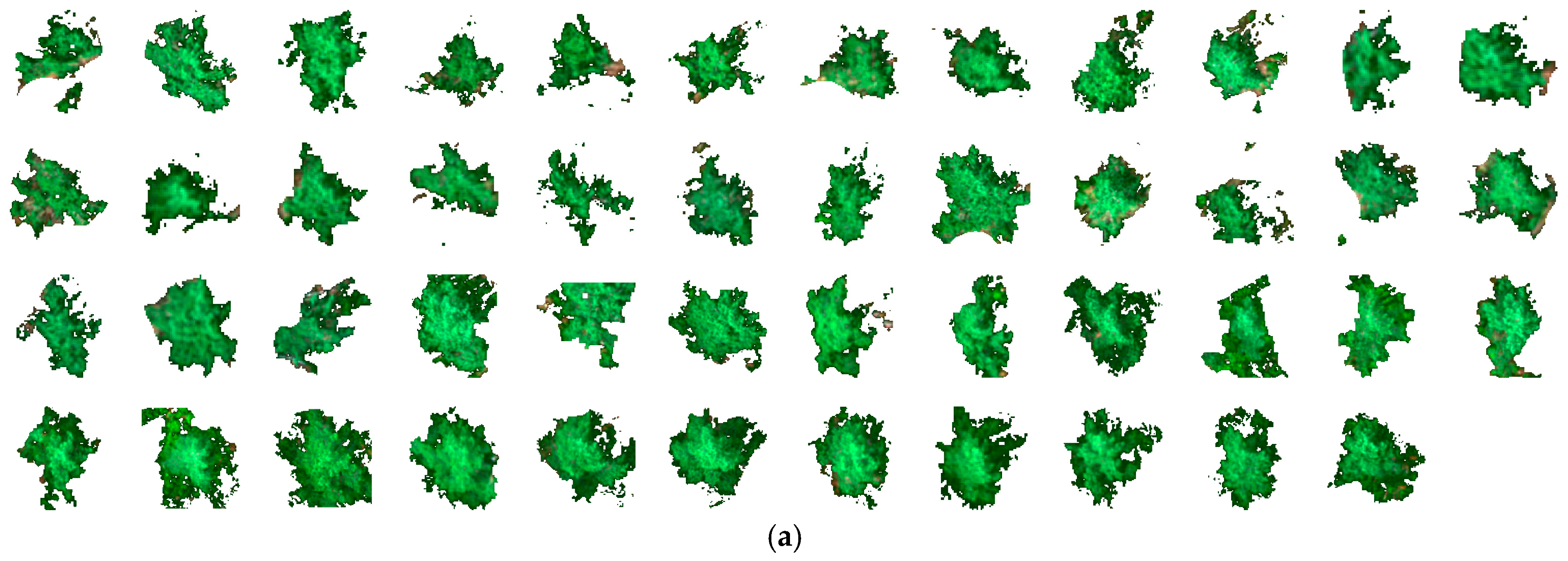 Remotesensing 17 00271 g0a1a Remotesensing 17 00271 g0a1a