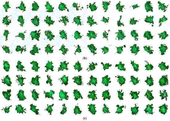 Remotesensing 17 00271 g0a1b