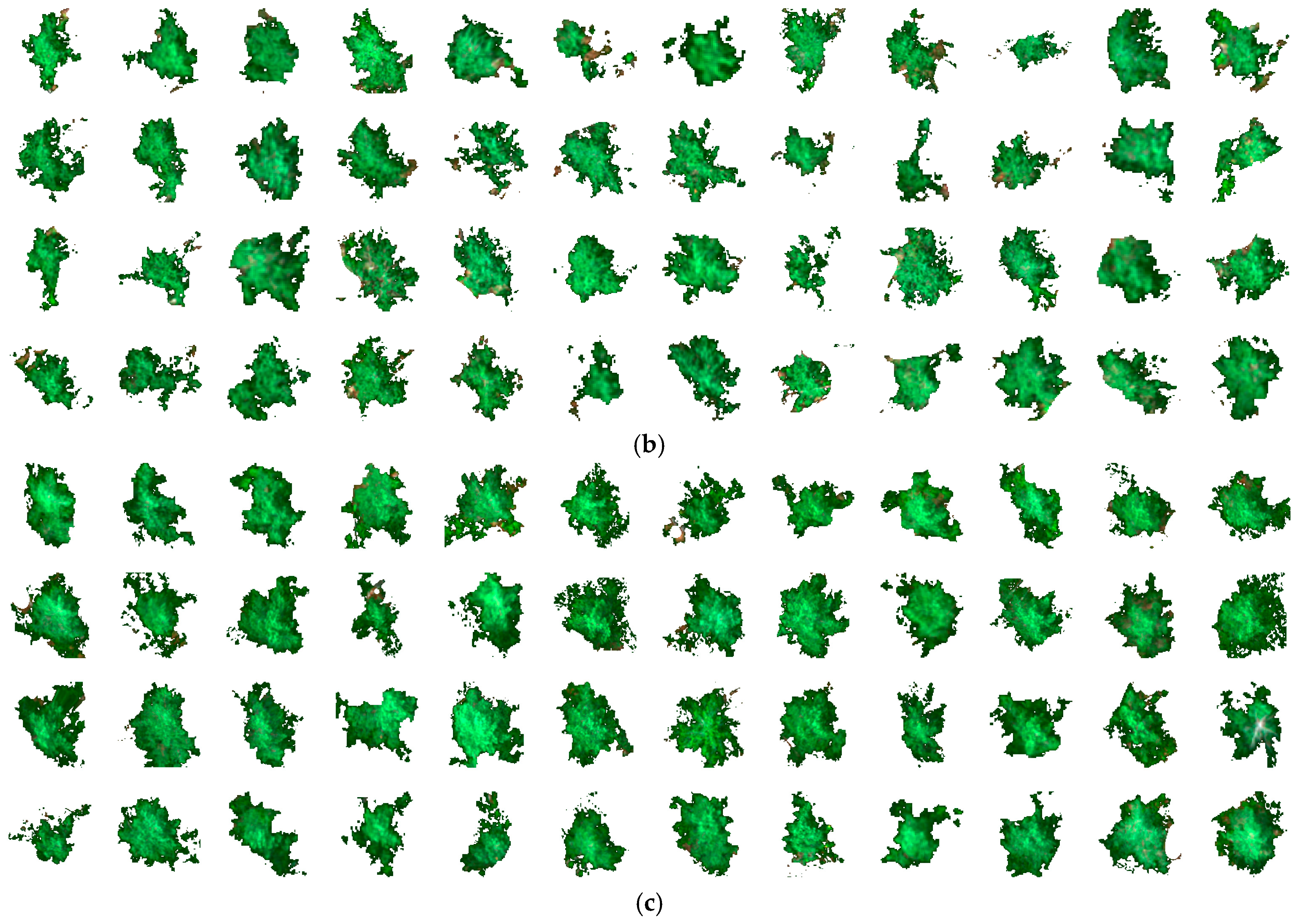 Remotesensing 17 00271 g0a1b Remotesensing 17 00271 g0a1b