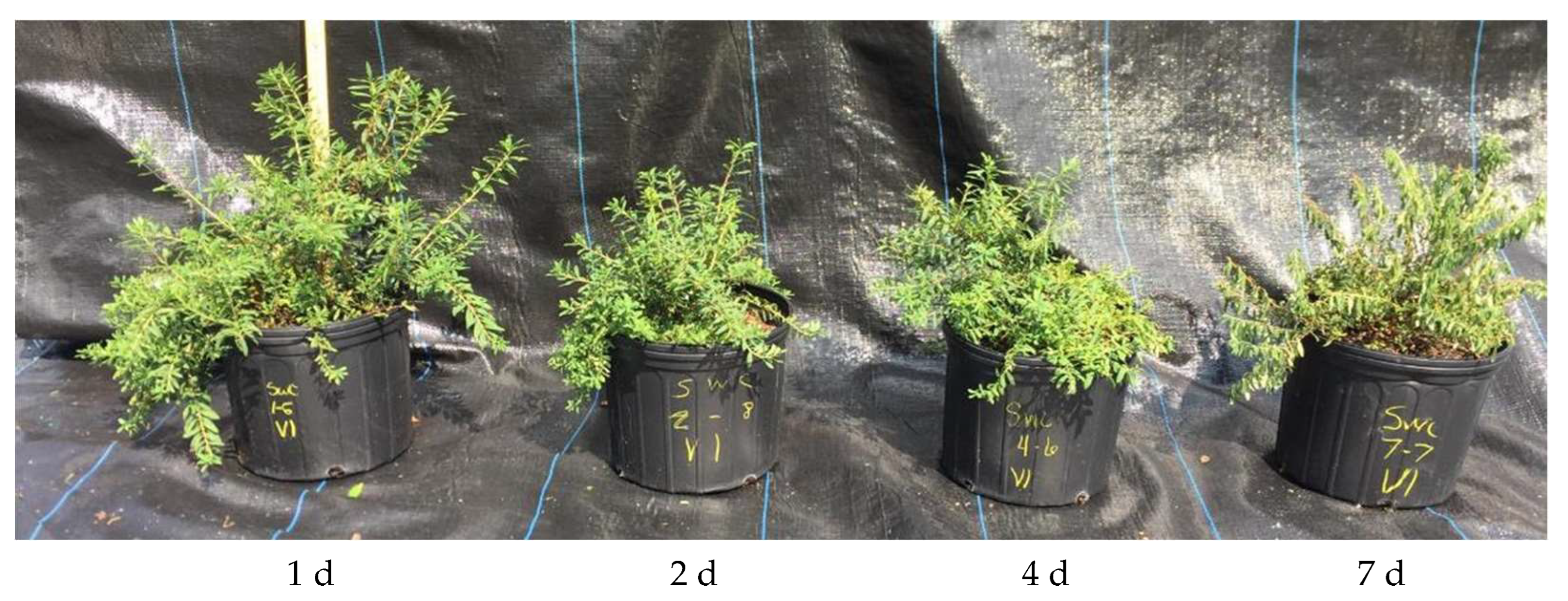 Remotesensing 17 00285 g002