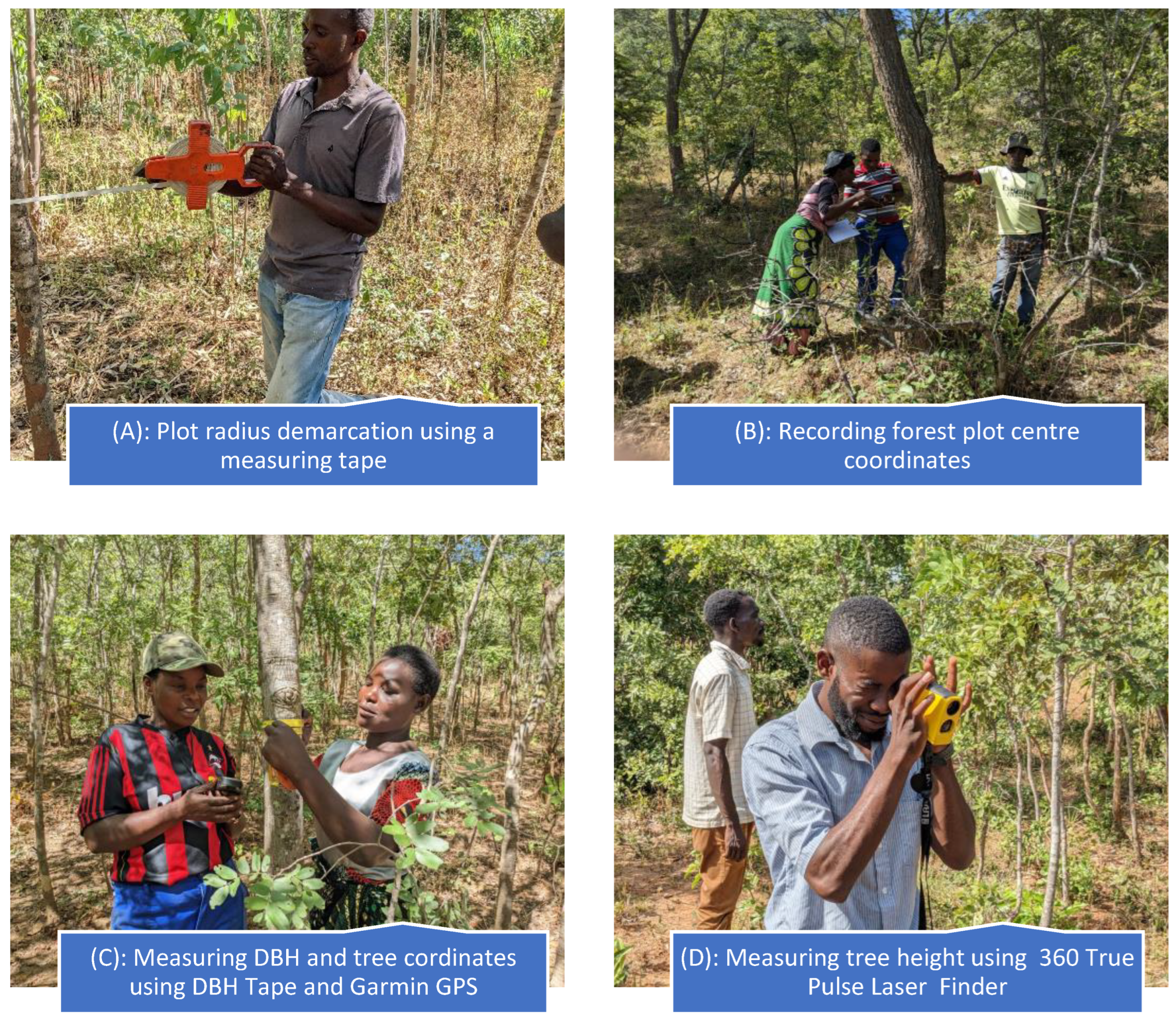 Remotesensing 17 00289 g002