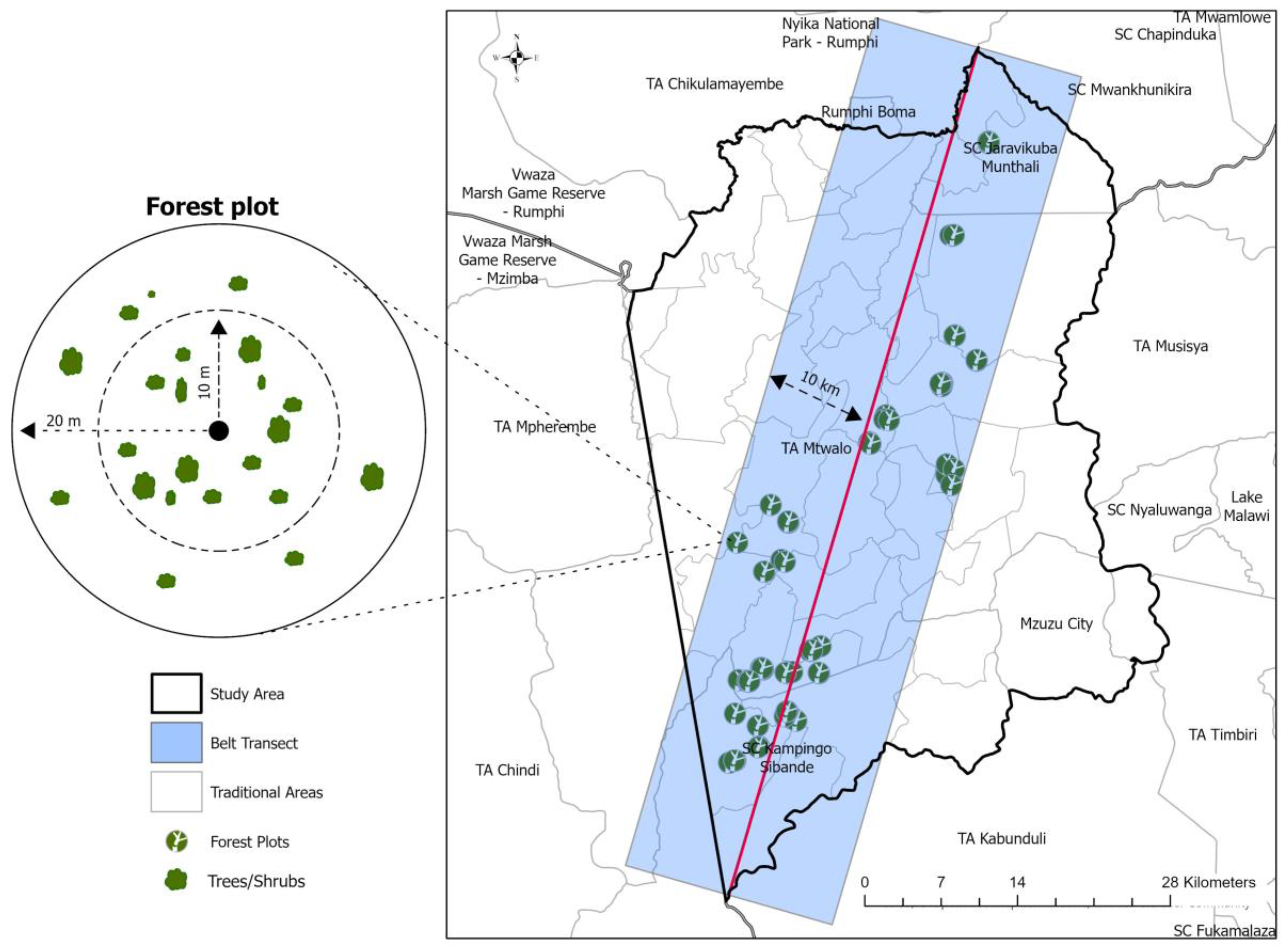 Remotesensing 17 00289 g003