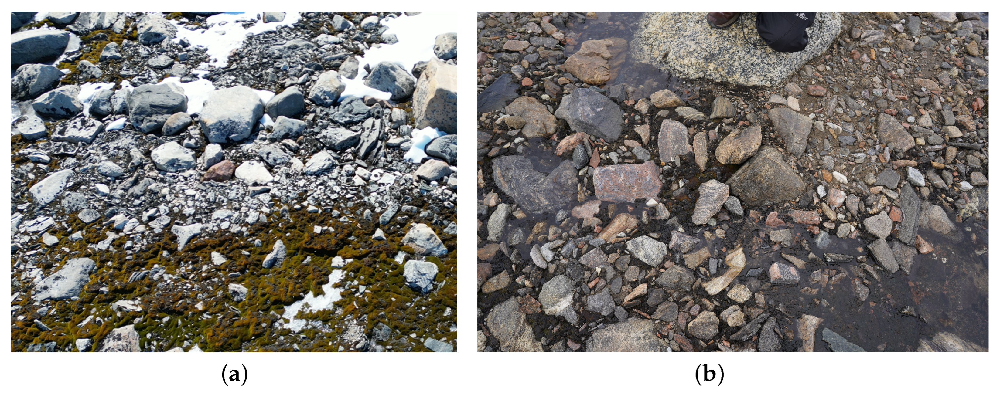 Remotesensing 17 00304 g002