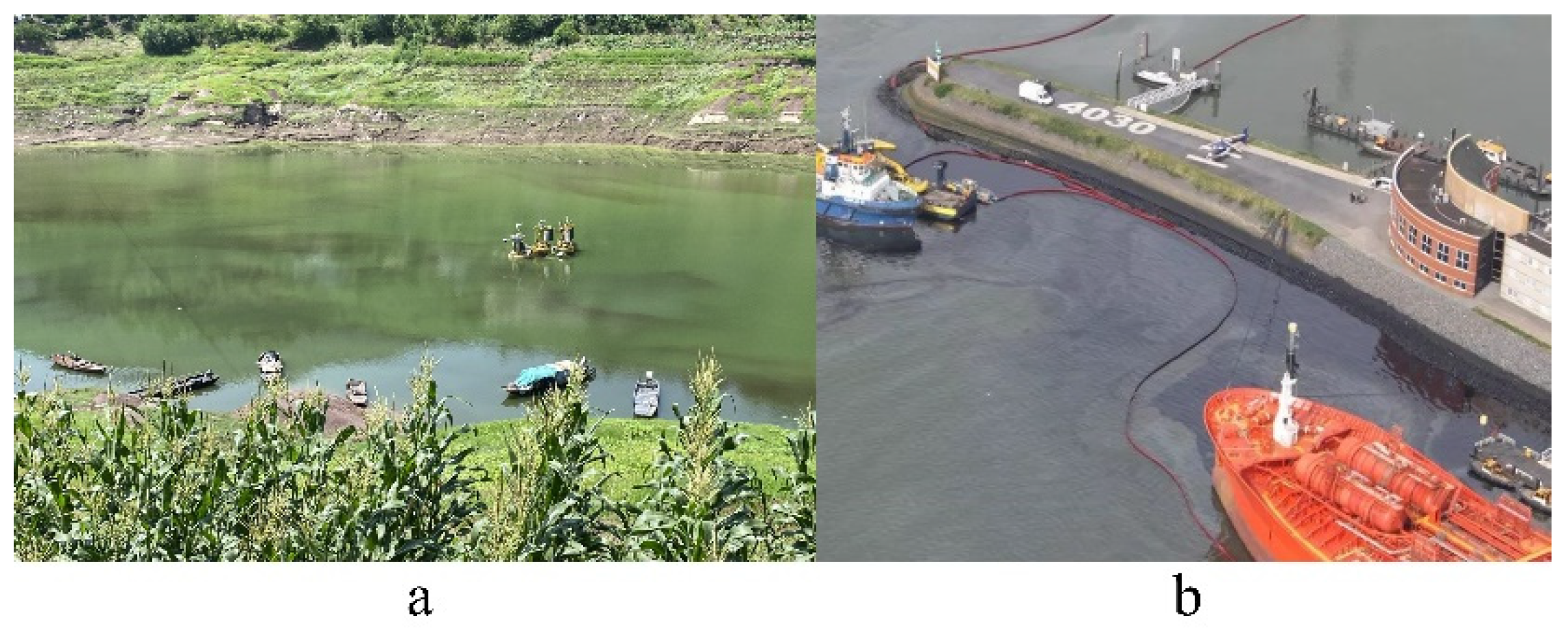 Remotesensing 17 00309 g010