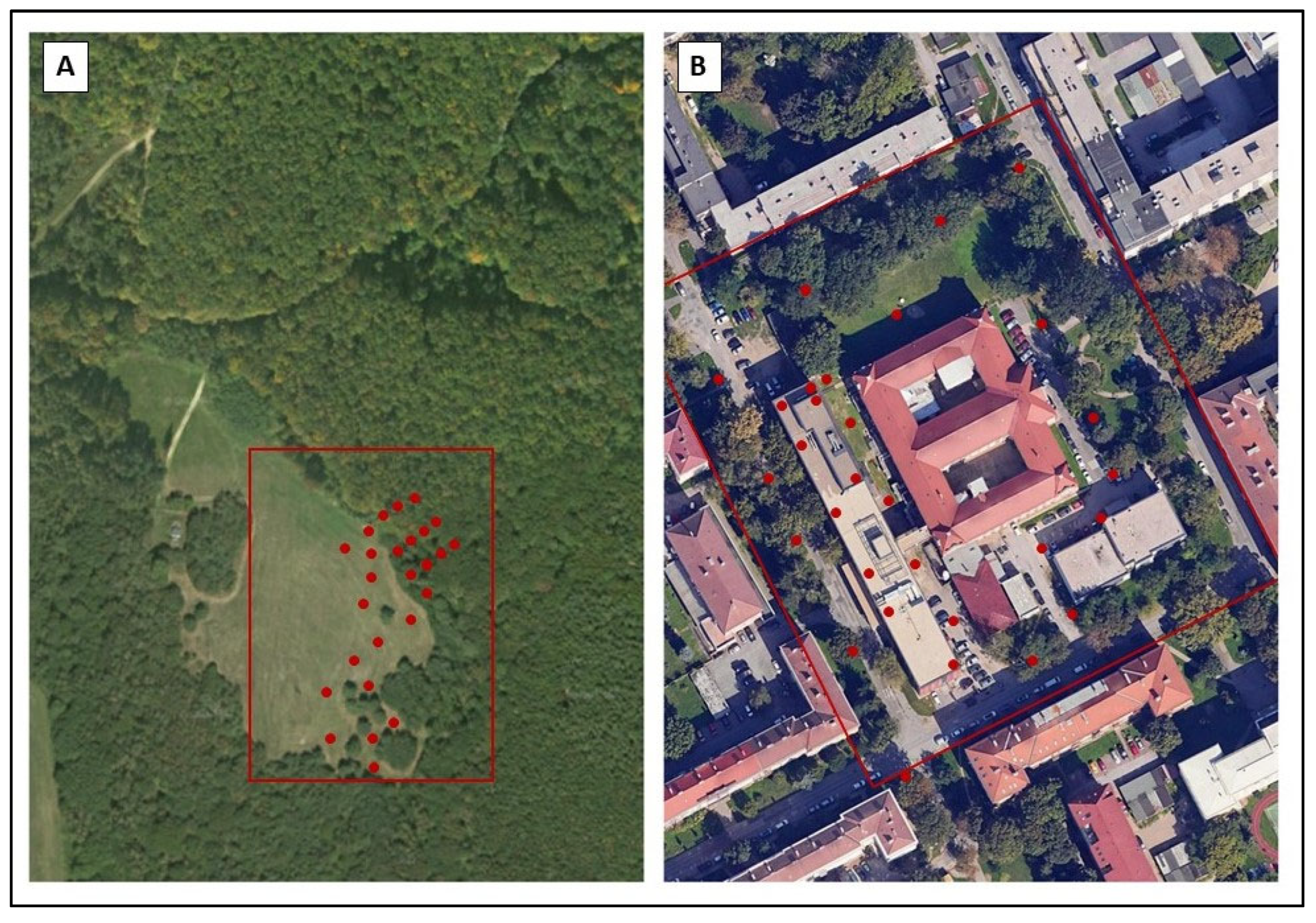 Remotesensing 17 00328 g003