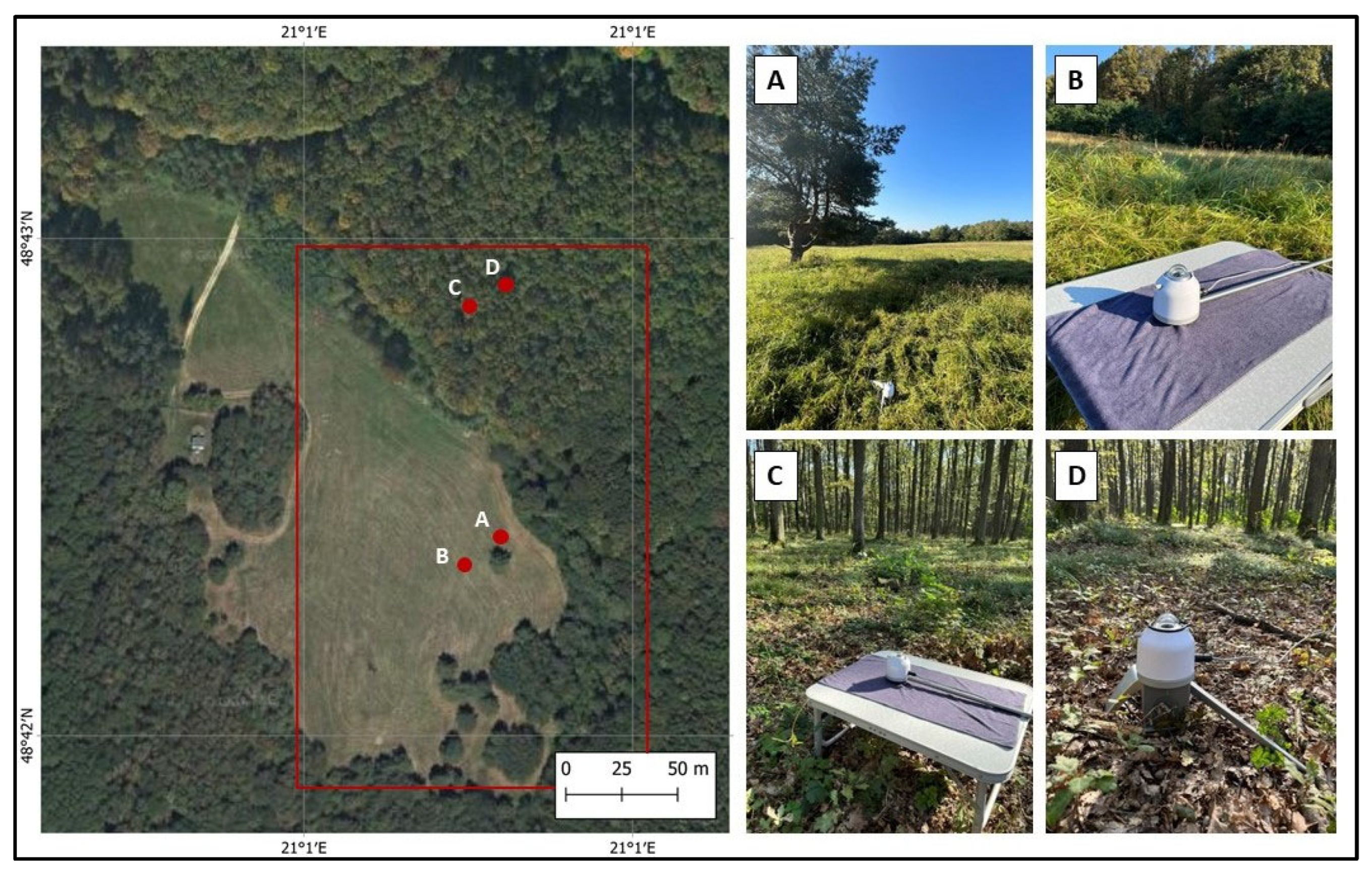 Remotesensing 17 00328 g009