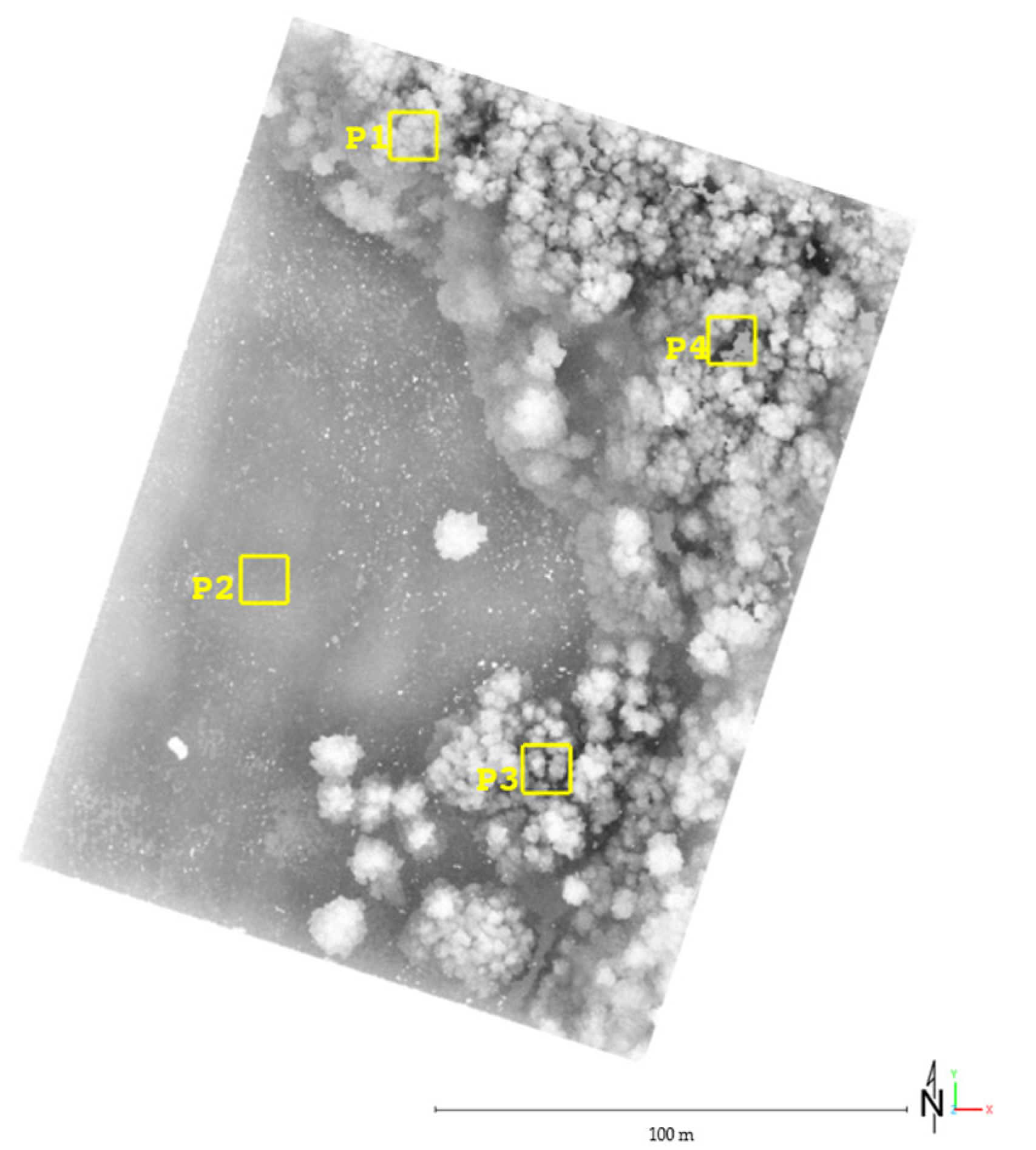 Remotesensing 17 00328 g011