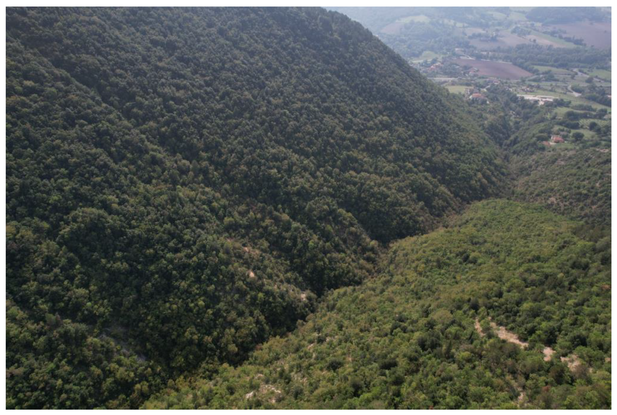 Remotesensing 17 00330 g007