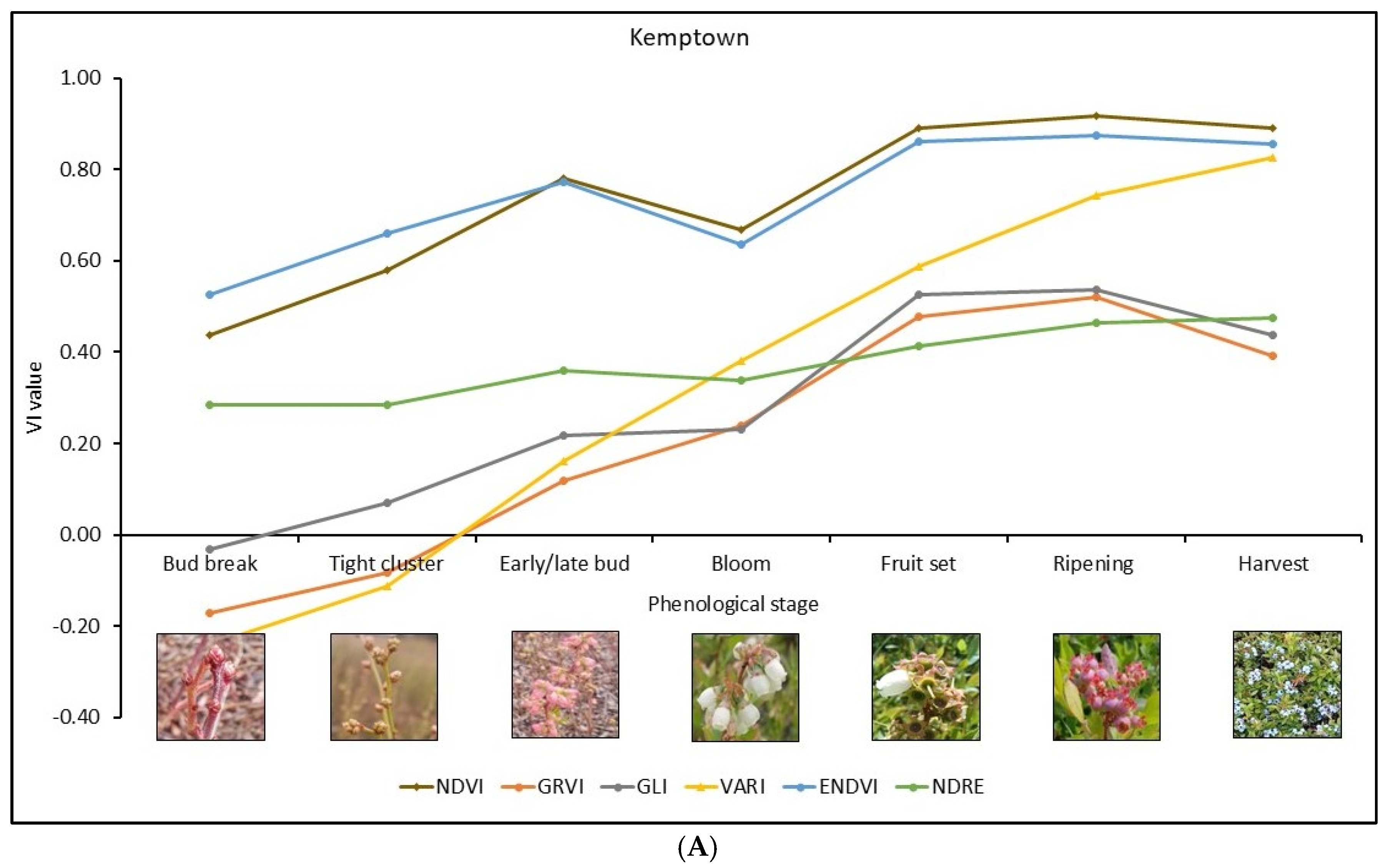 Remotesensing 17 00334 g006a