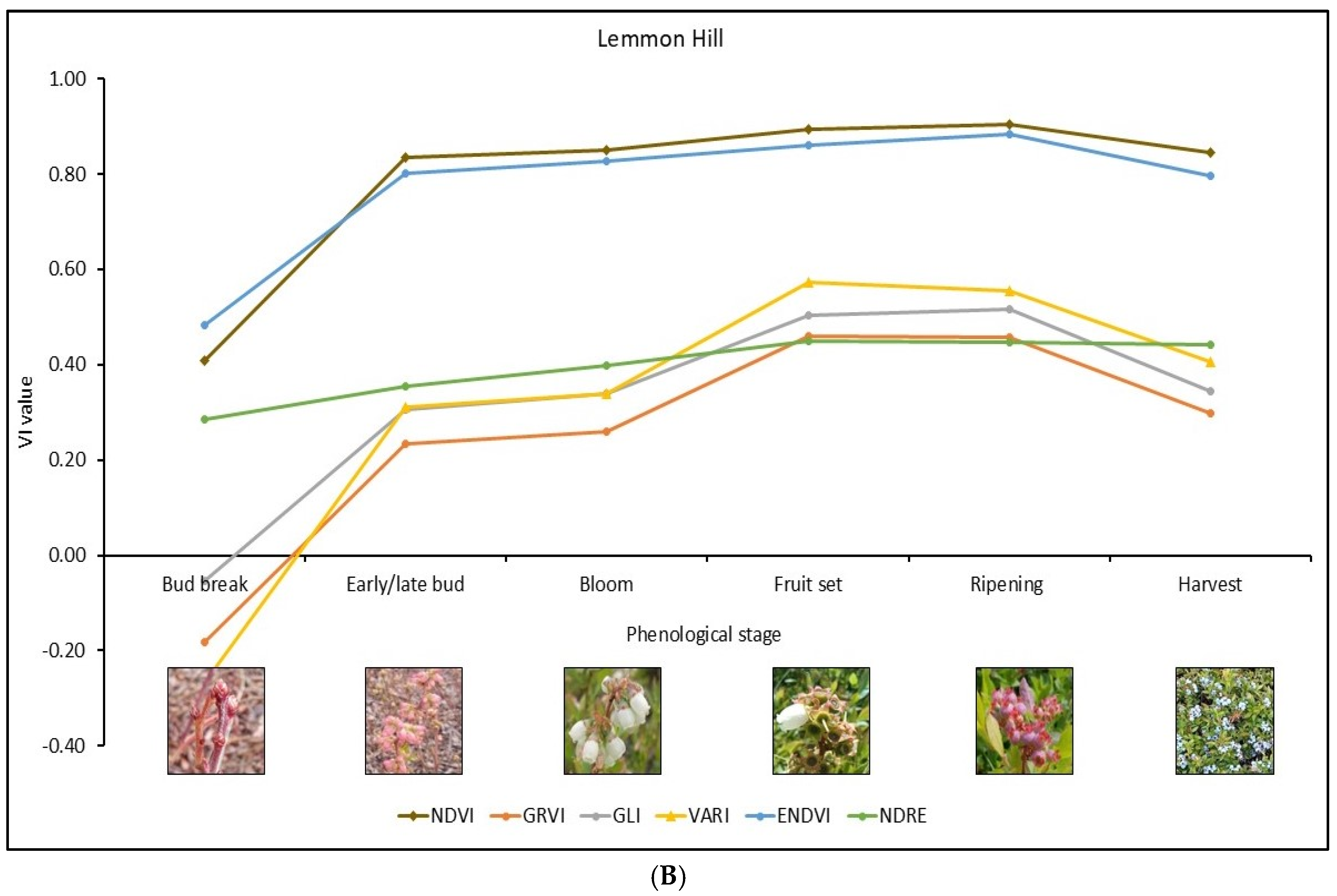 Remotesensing 17 00334 g006b