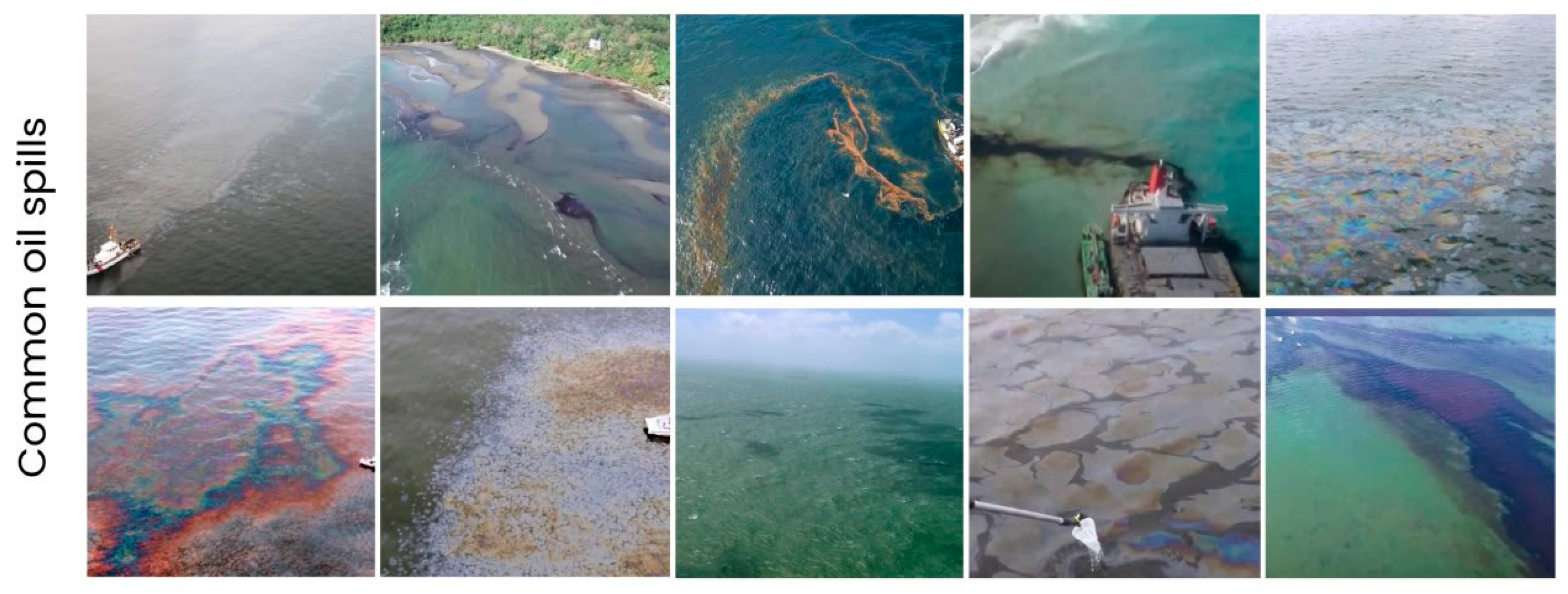 Remotesensing 17 00336 g002