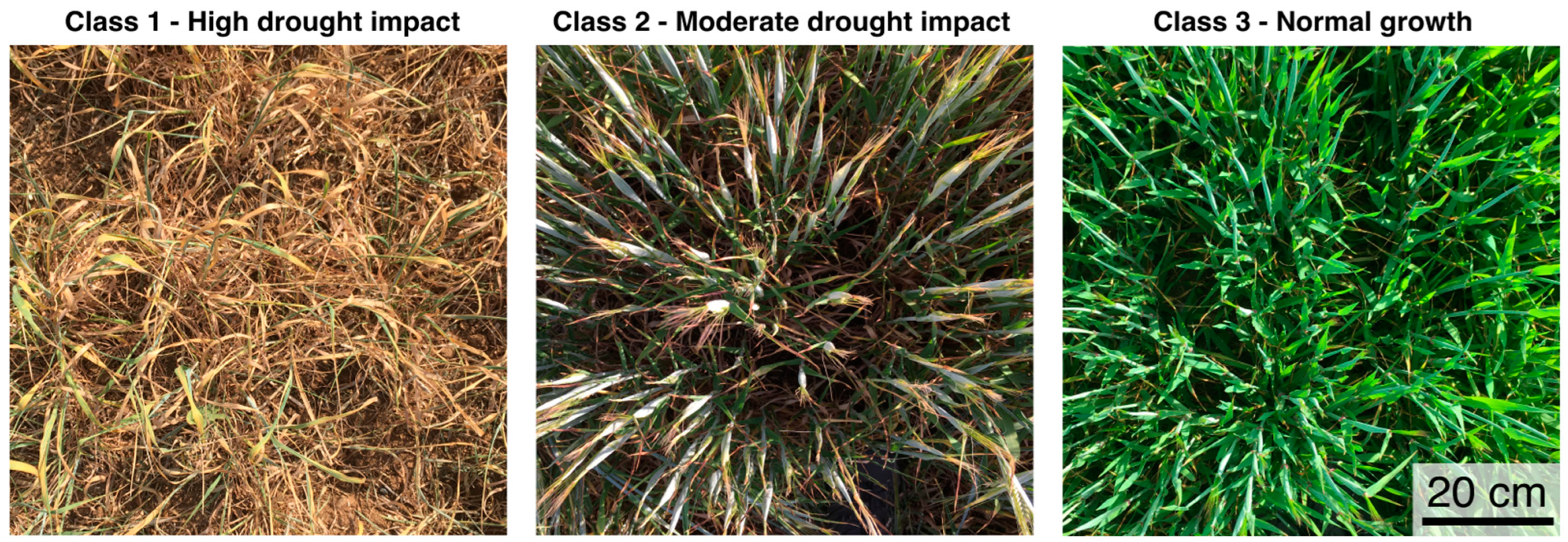 Remotesensing 17 00340 g002