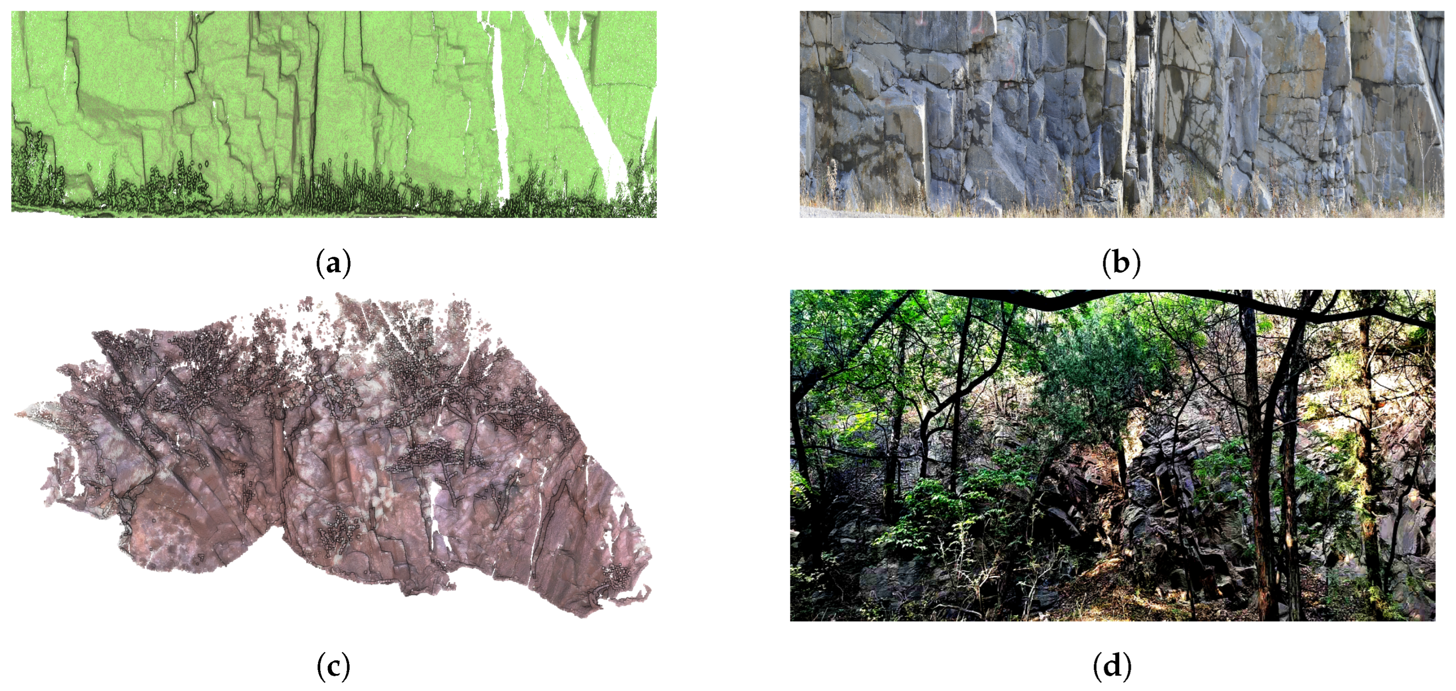 Remotesensing 17 00345 g001