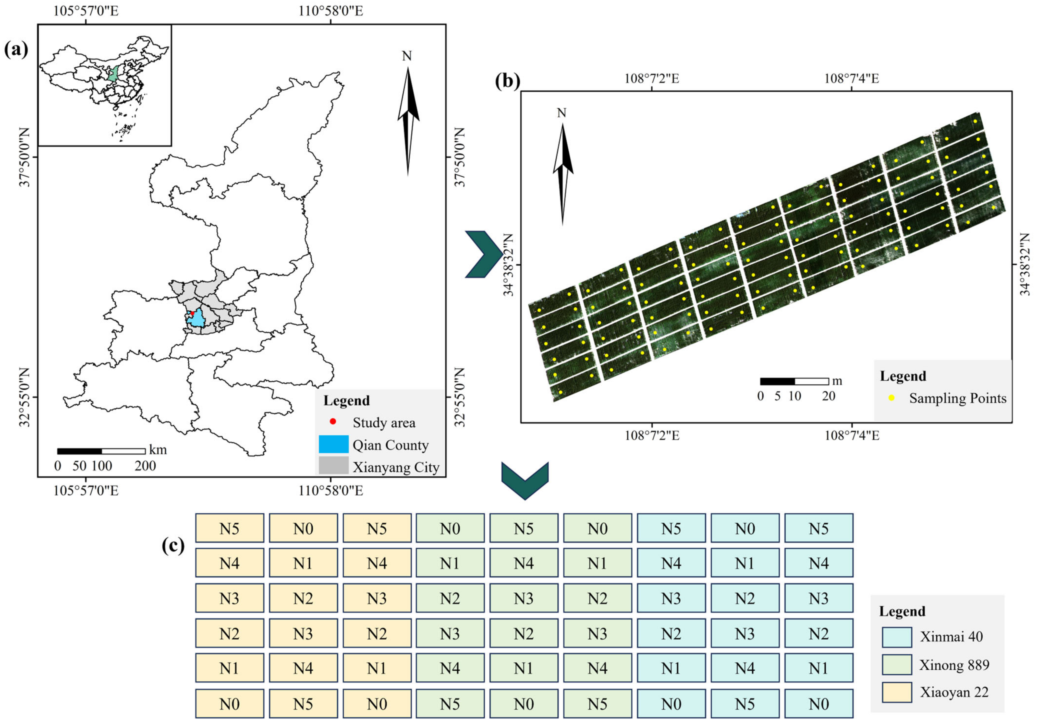 Remotesensing 17 00406 g001