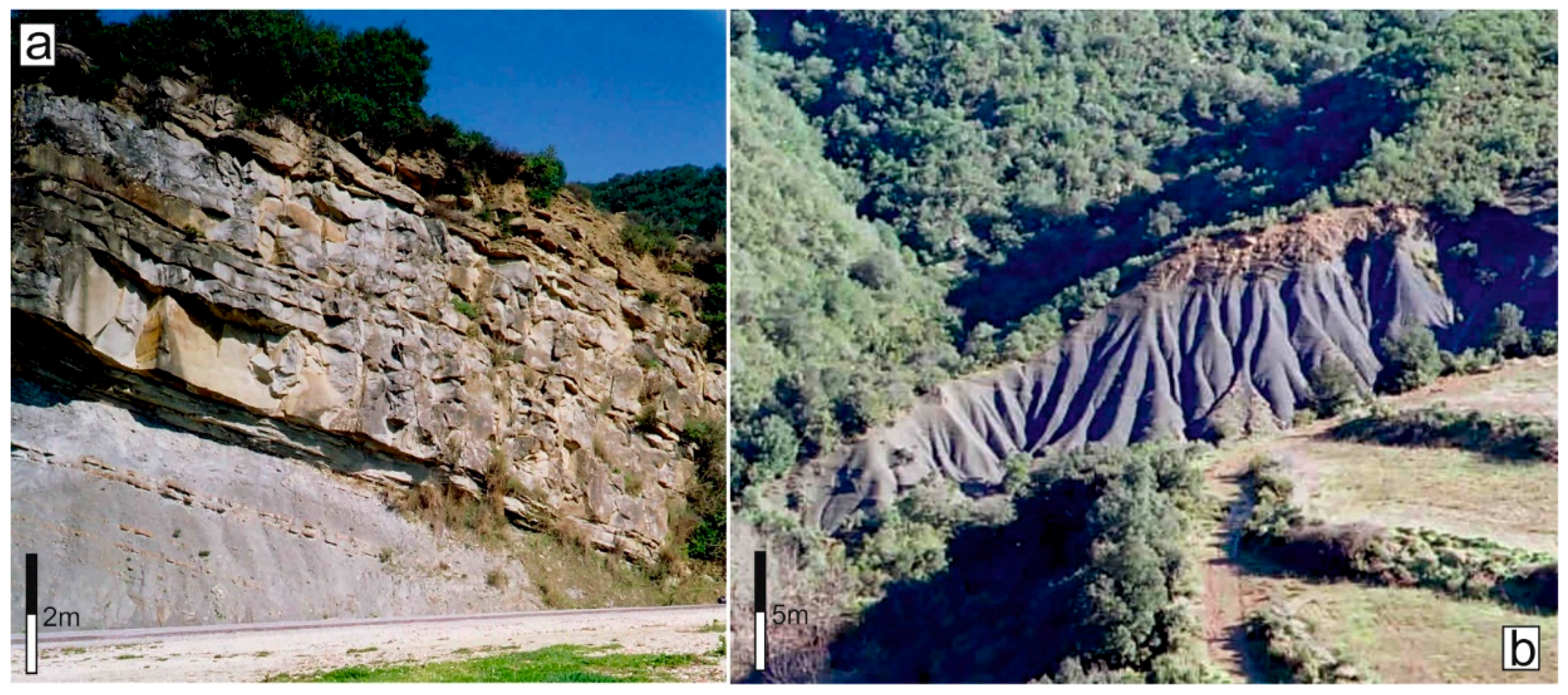 Remotesensing 17 00422 g004