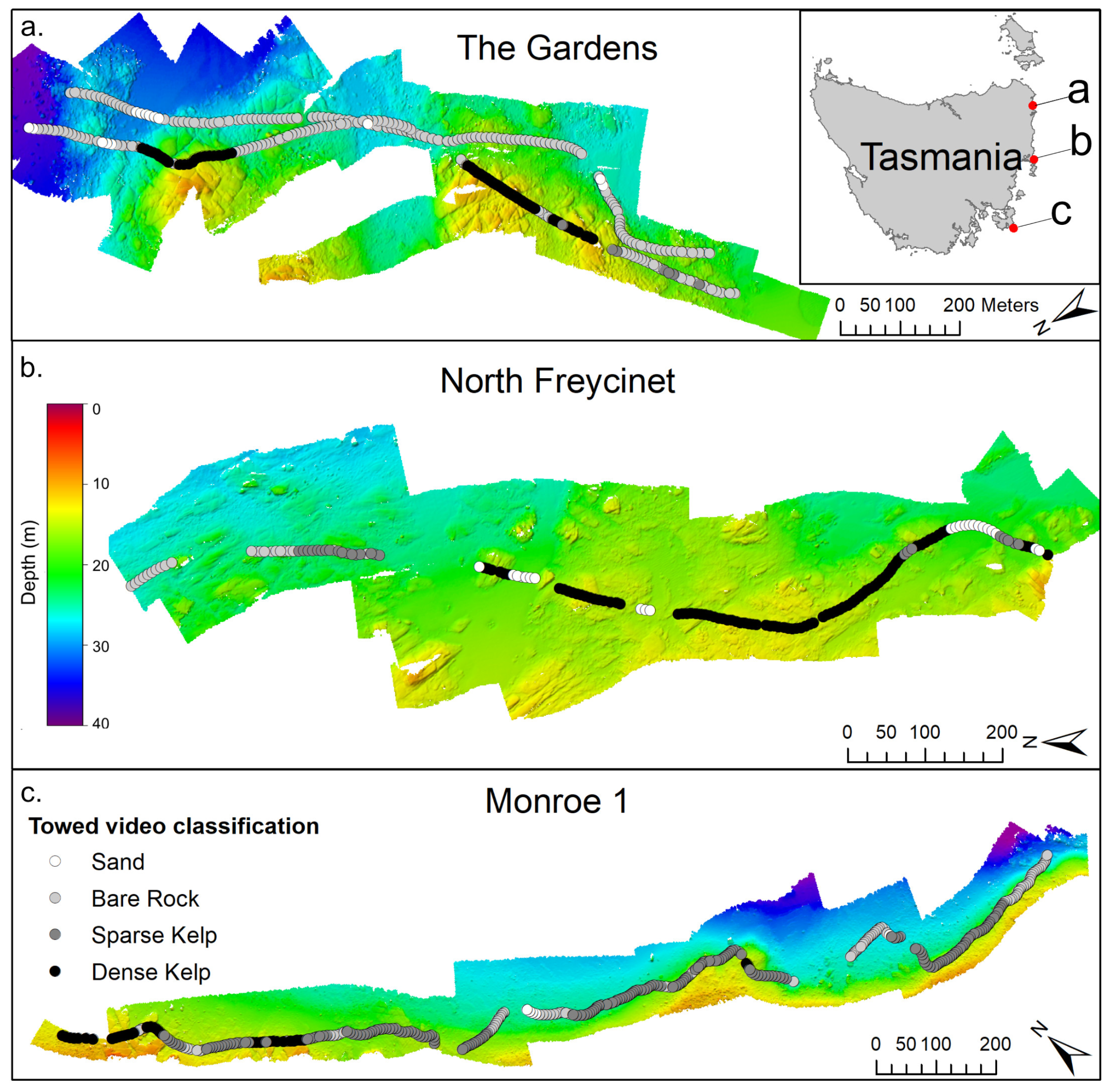 Remotesensing 17 00449 g001