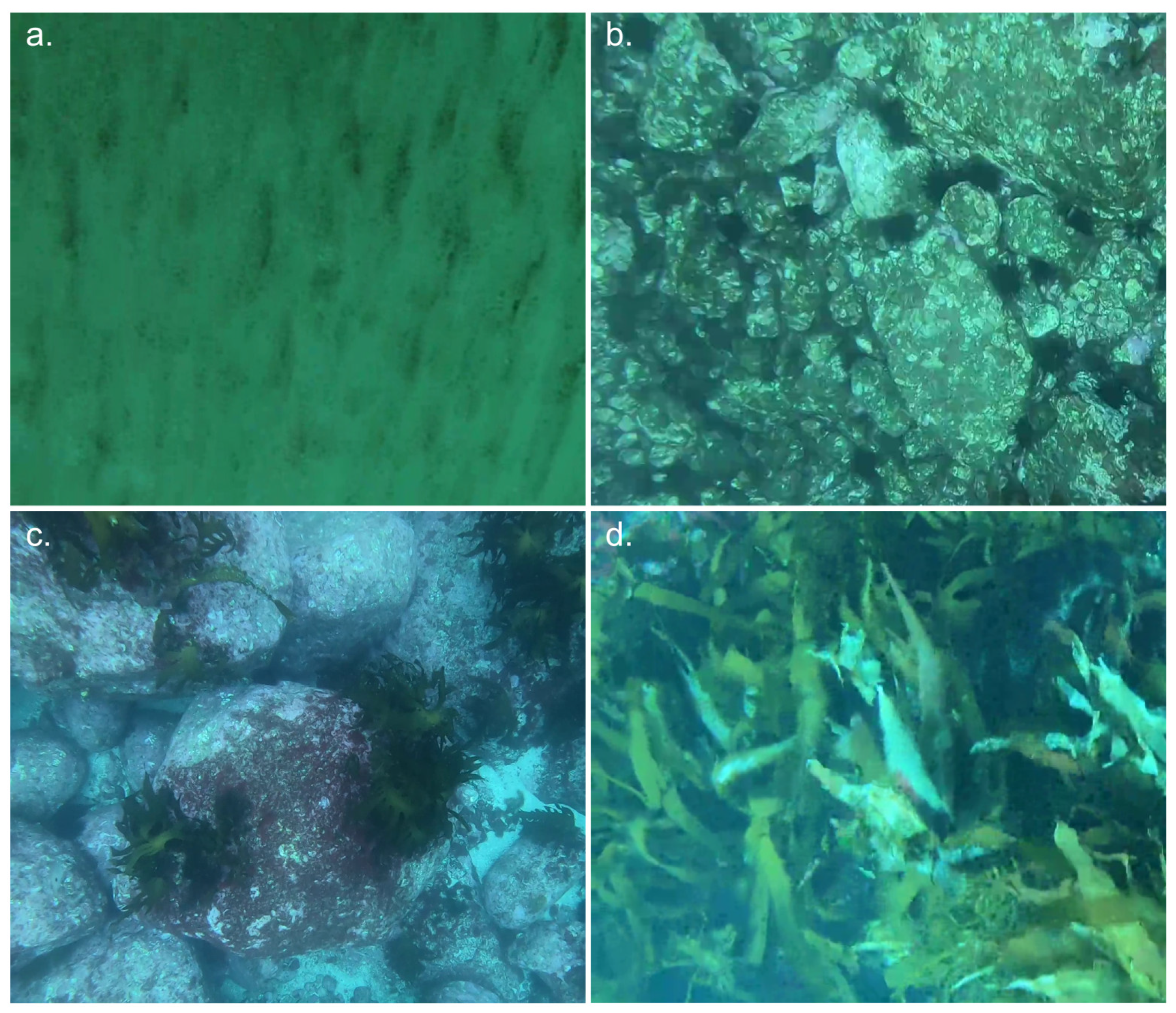 Remotesensing 17 00449 g004