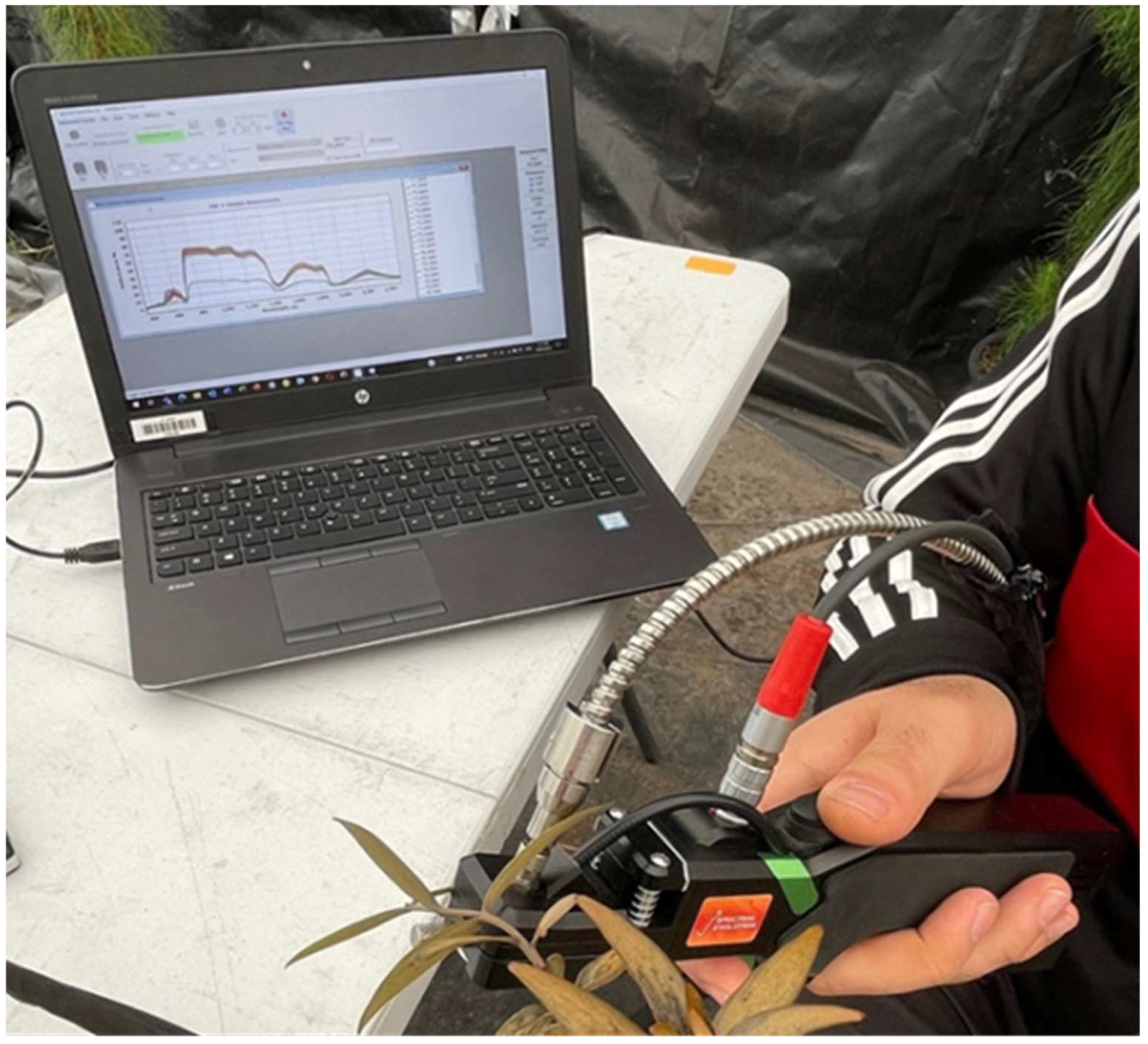 Remotesensing 17 00463 g001