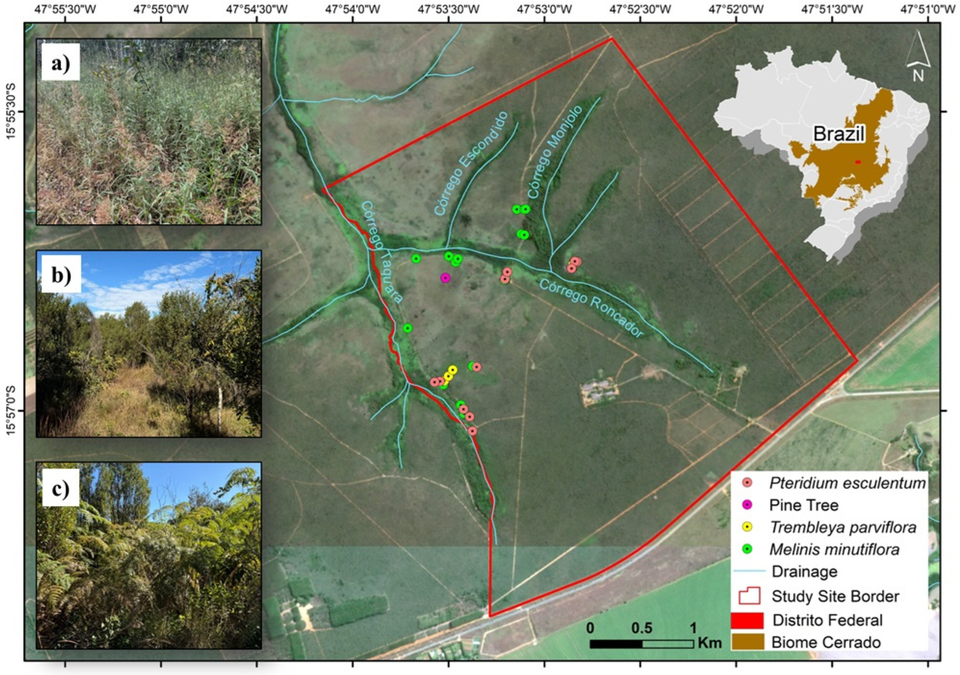 Remotesensing 17 00480 g001