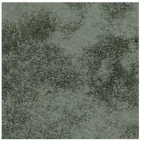 Remotesensing 17 00485 i002