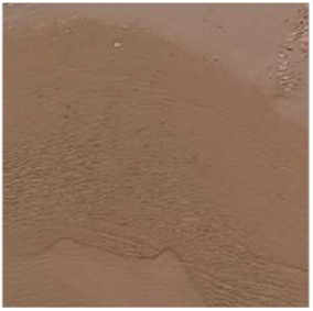 Remotesensing 17 00485 i005