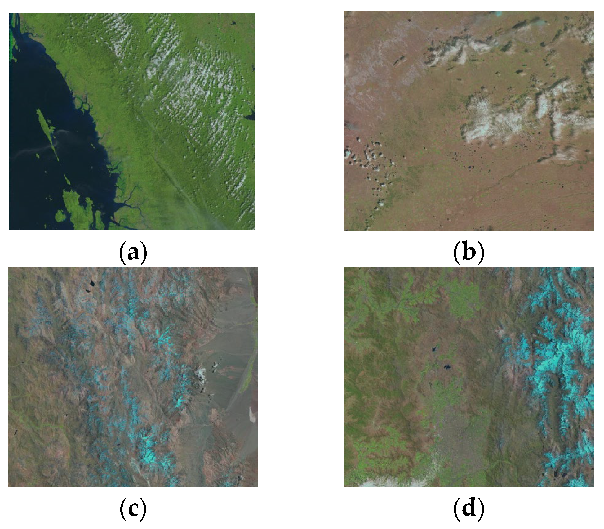 Remotesensing 17 00502 g010