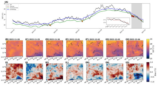 Remotesensing 17 00517 g011