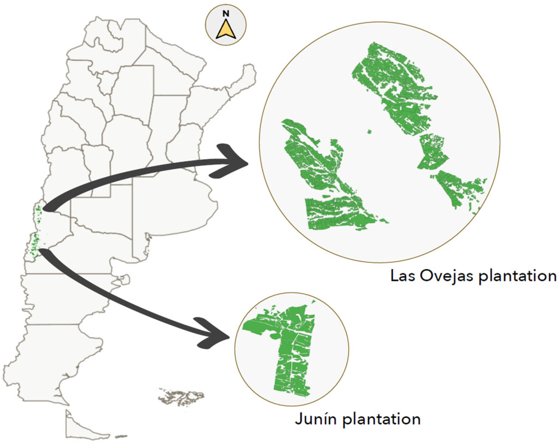 Remotesensing 17 00537 g001