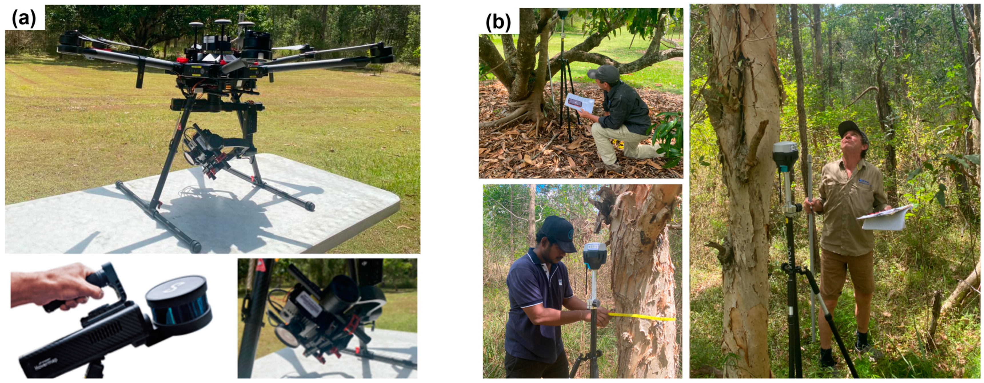 Remotesensing 17 00552 g004