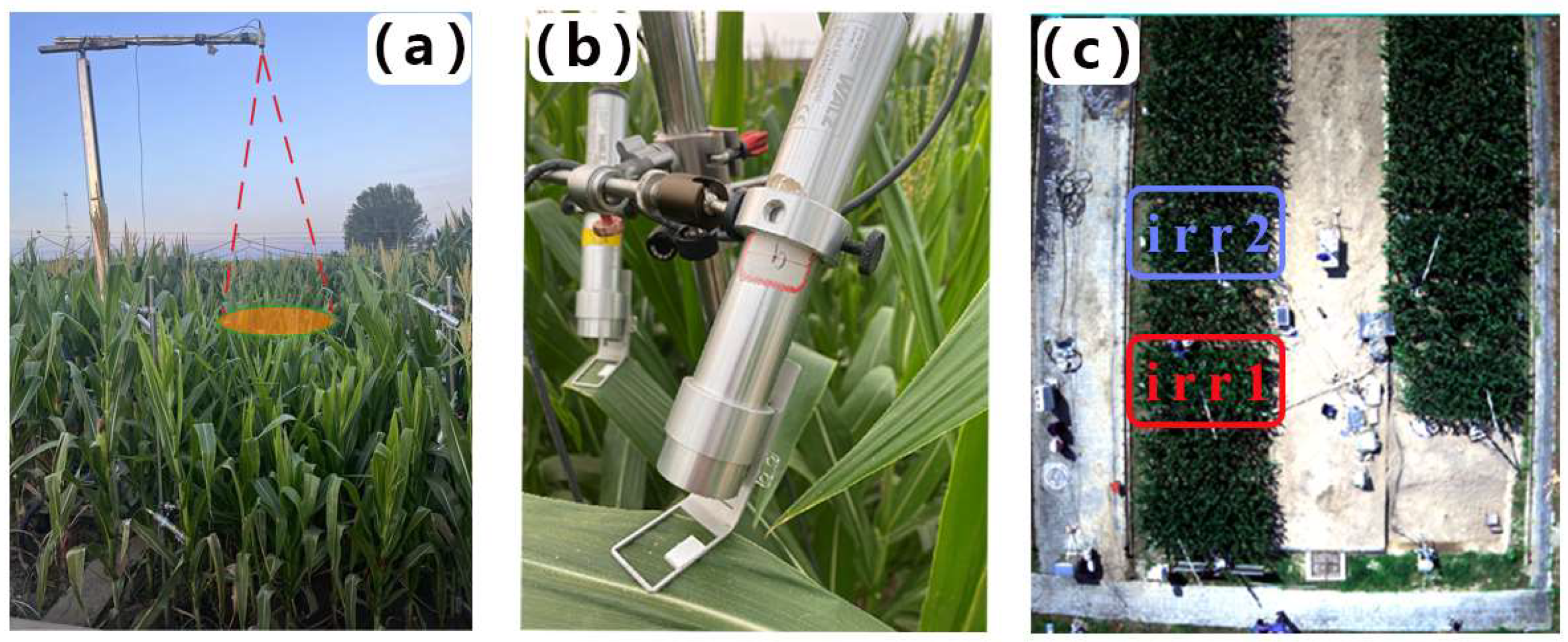 Remotesensing 17 00565 g001