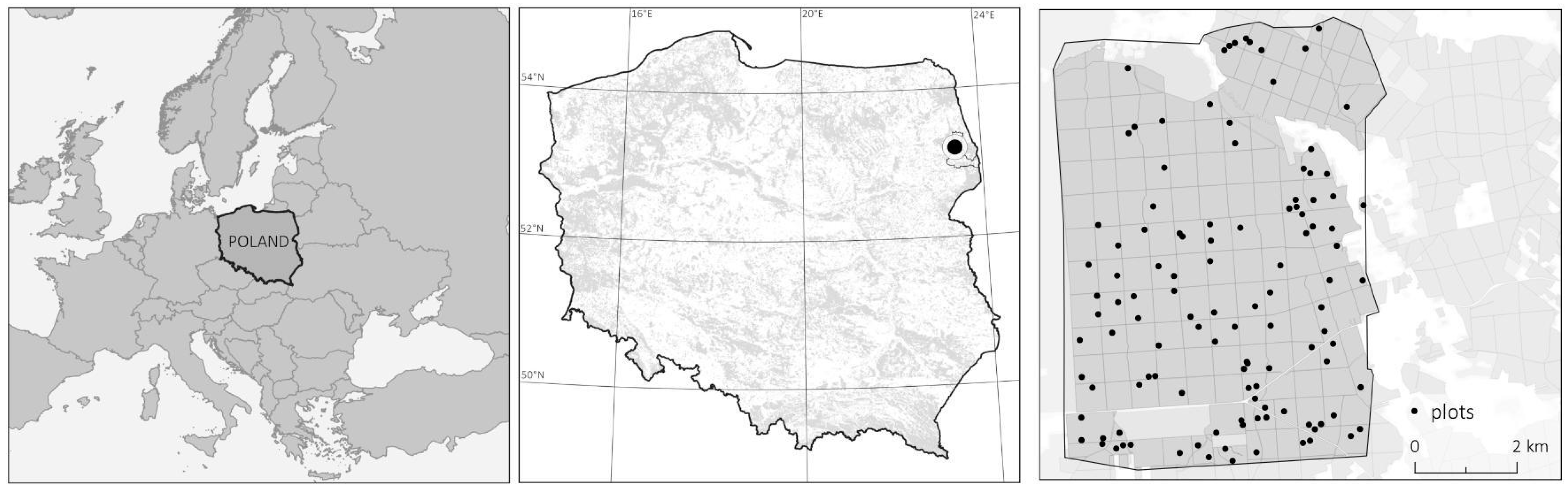 Remotesensing 17 00575 g001