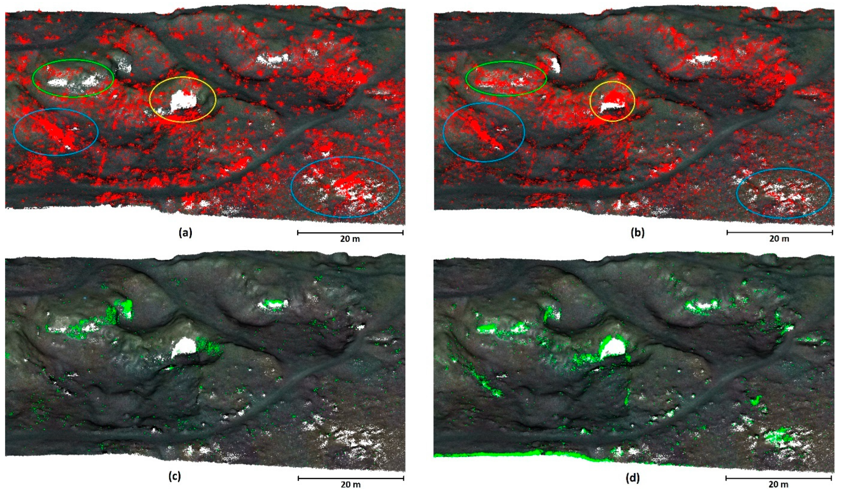 Remotesensing 17 00615 g011