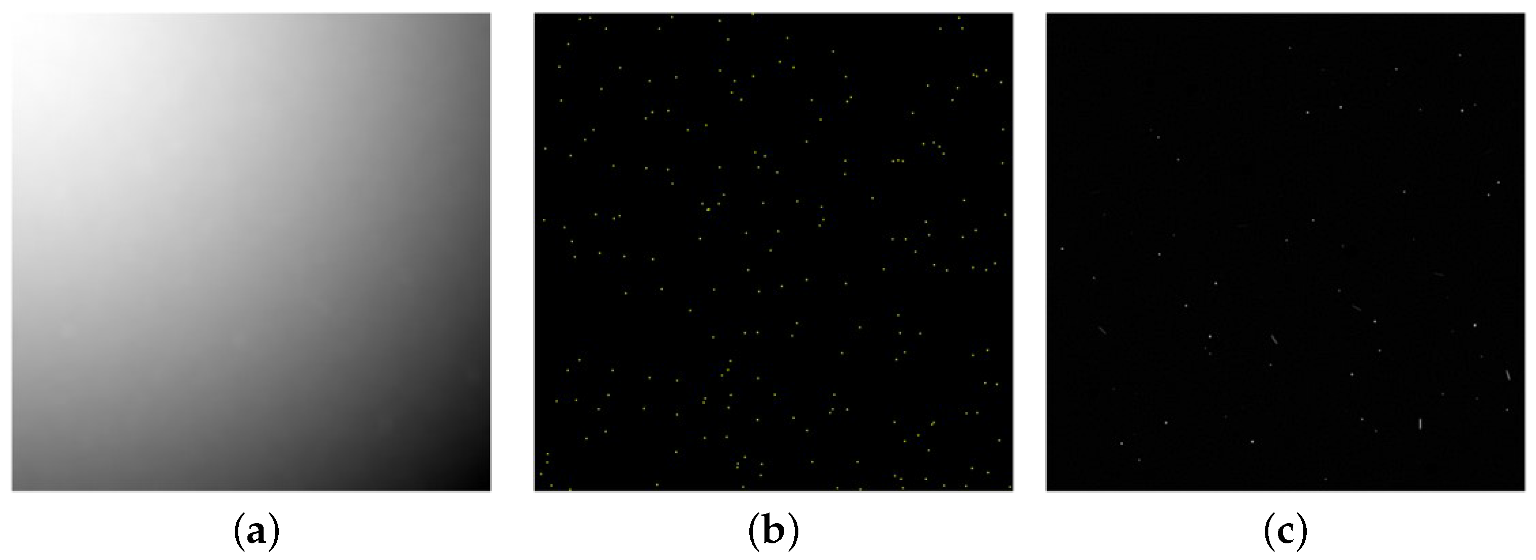 Remotesensing 17 00631 g010