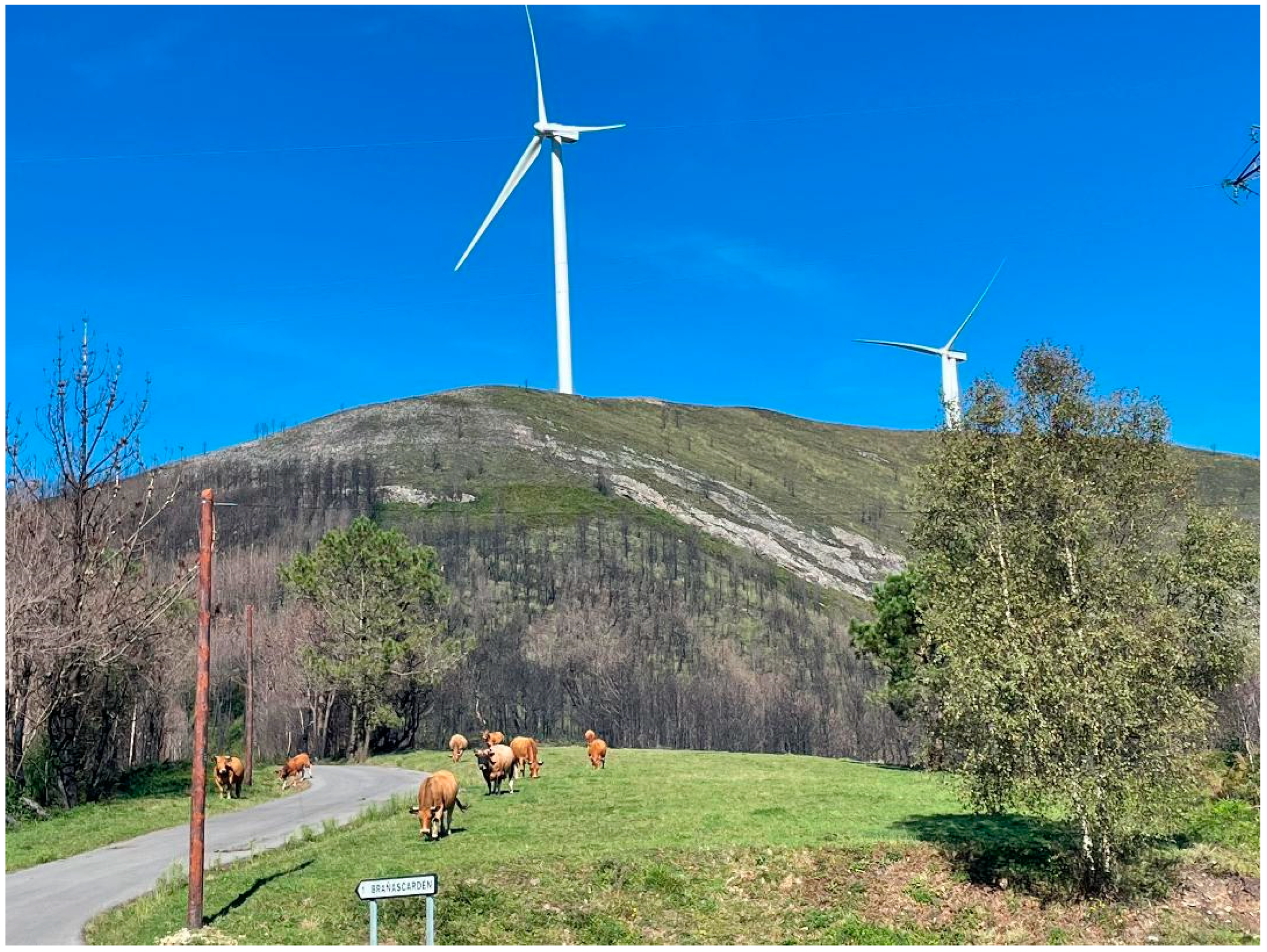 Remotesensing 17 00649 g004