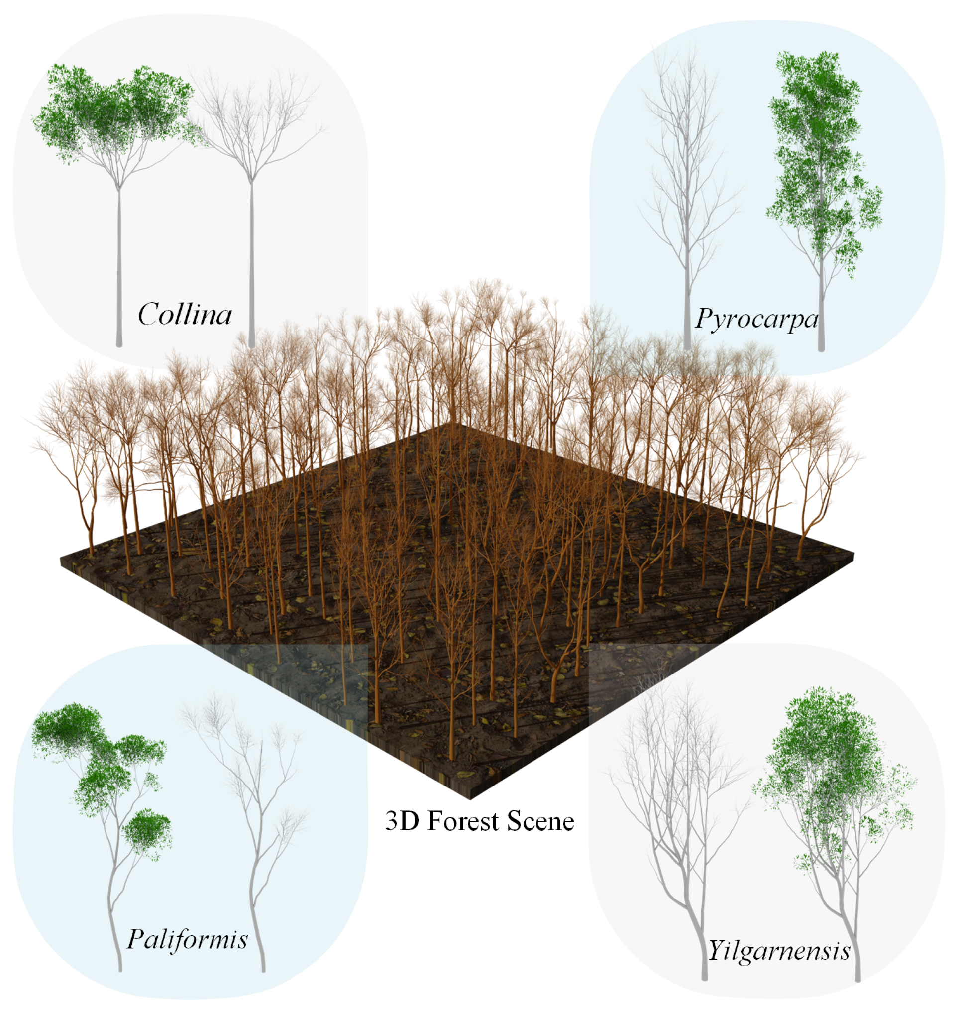 Remotesensing 17 00656 g003