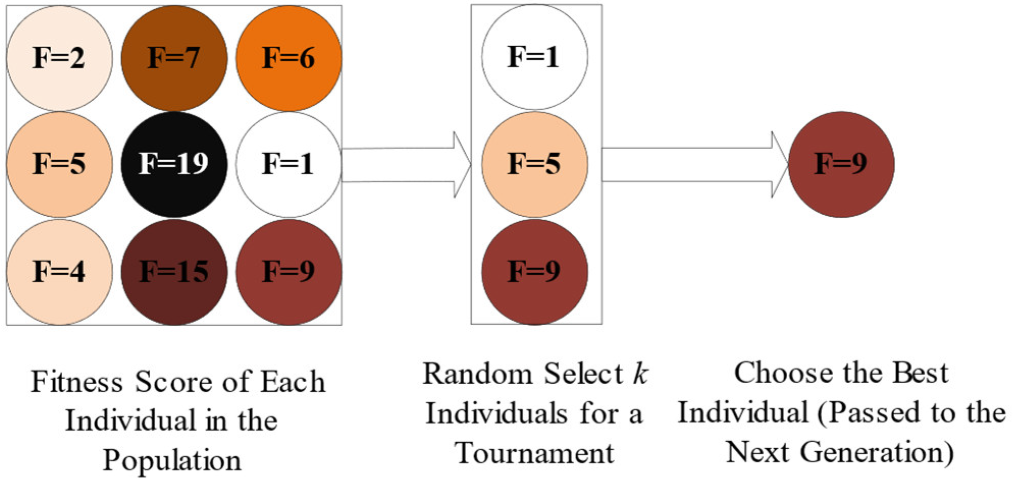 Remotesensing 17 00673 g006