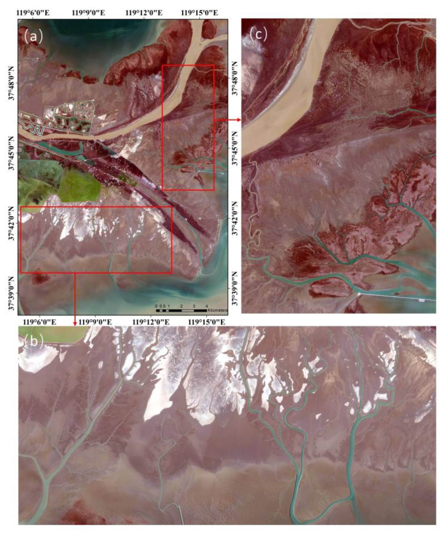 Remotesensing 17 00676 g001 Remotesensing 17 00676 g001