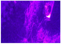 Remotesensing 17 00689 i004