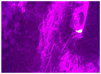 Remotesensing 17 00689 i007