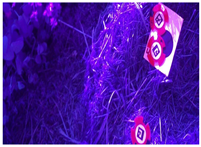 Remotesensing 17 00689 i010